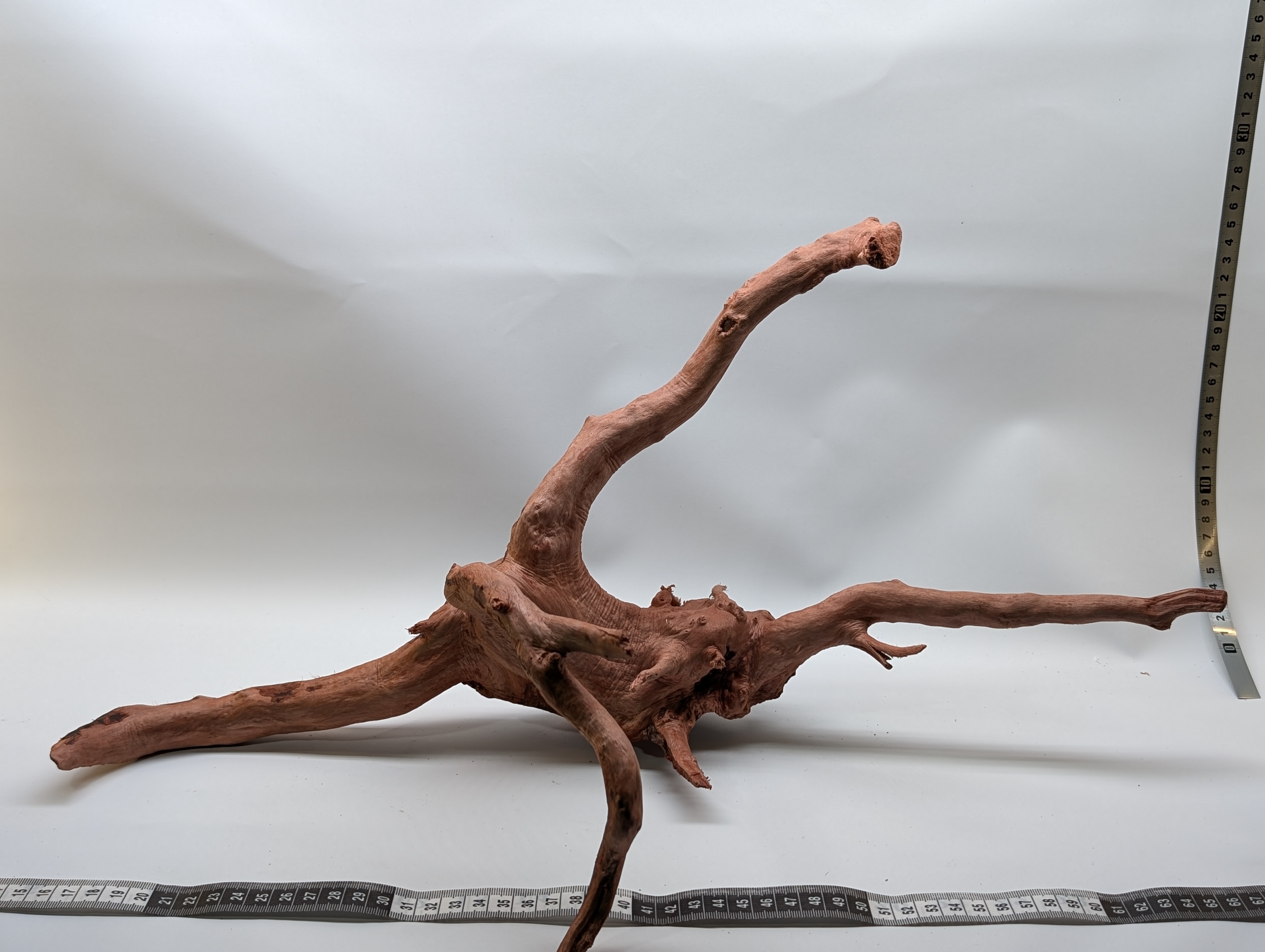 Aquarium gold vine driftwood  L size 25-40cm