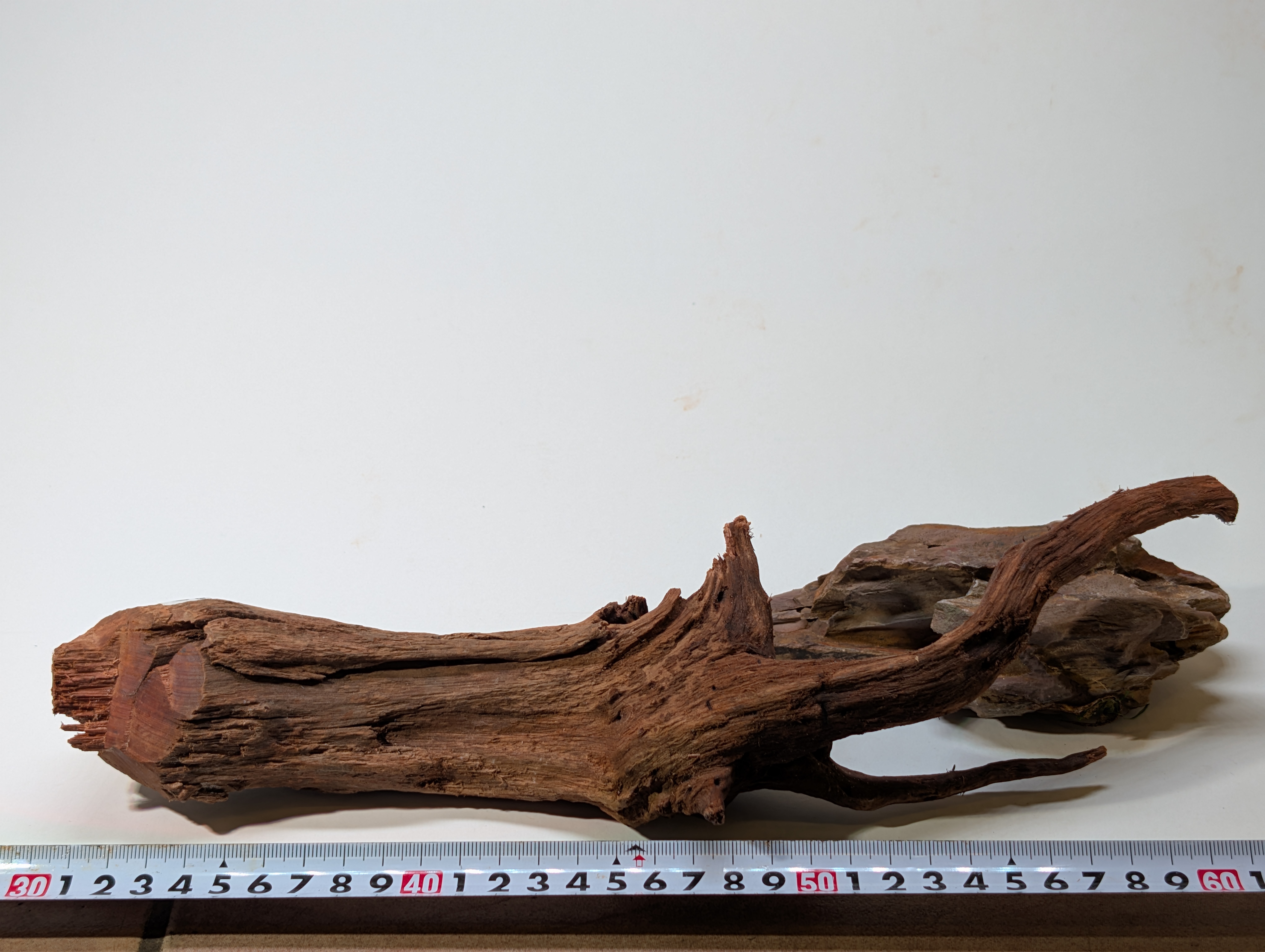 Aquarium Driftwood Mangrove