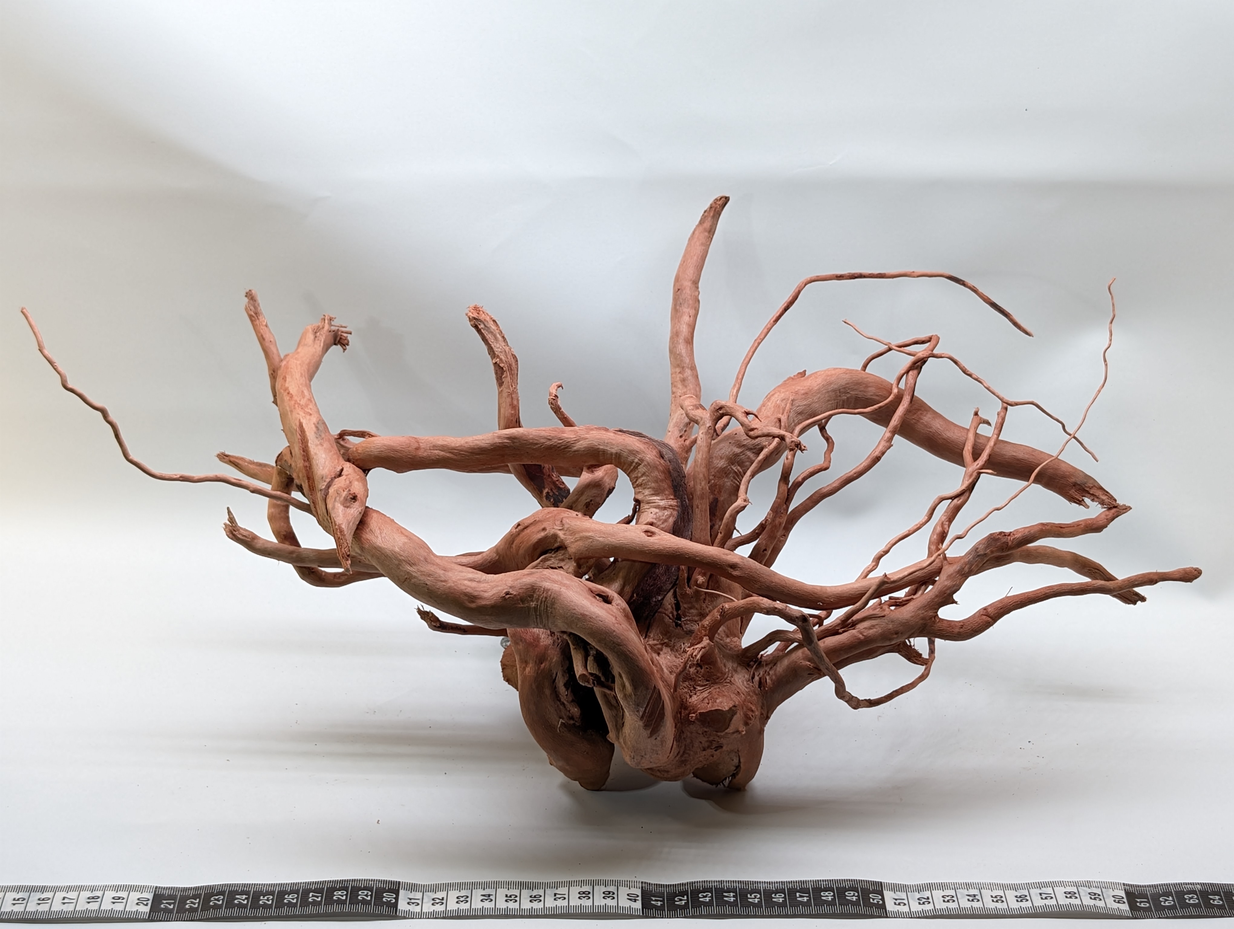 Aquarium Gold Vine driftwood  XL 40-60cm
