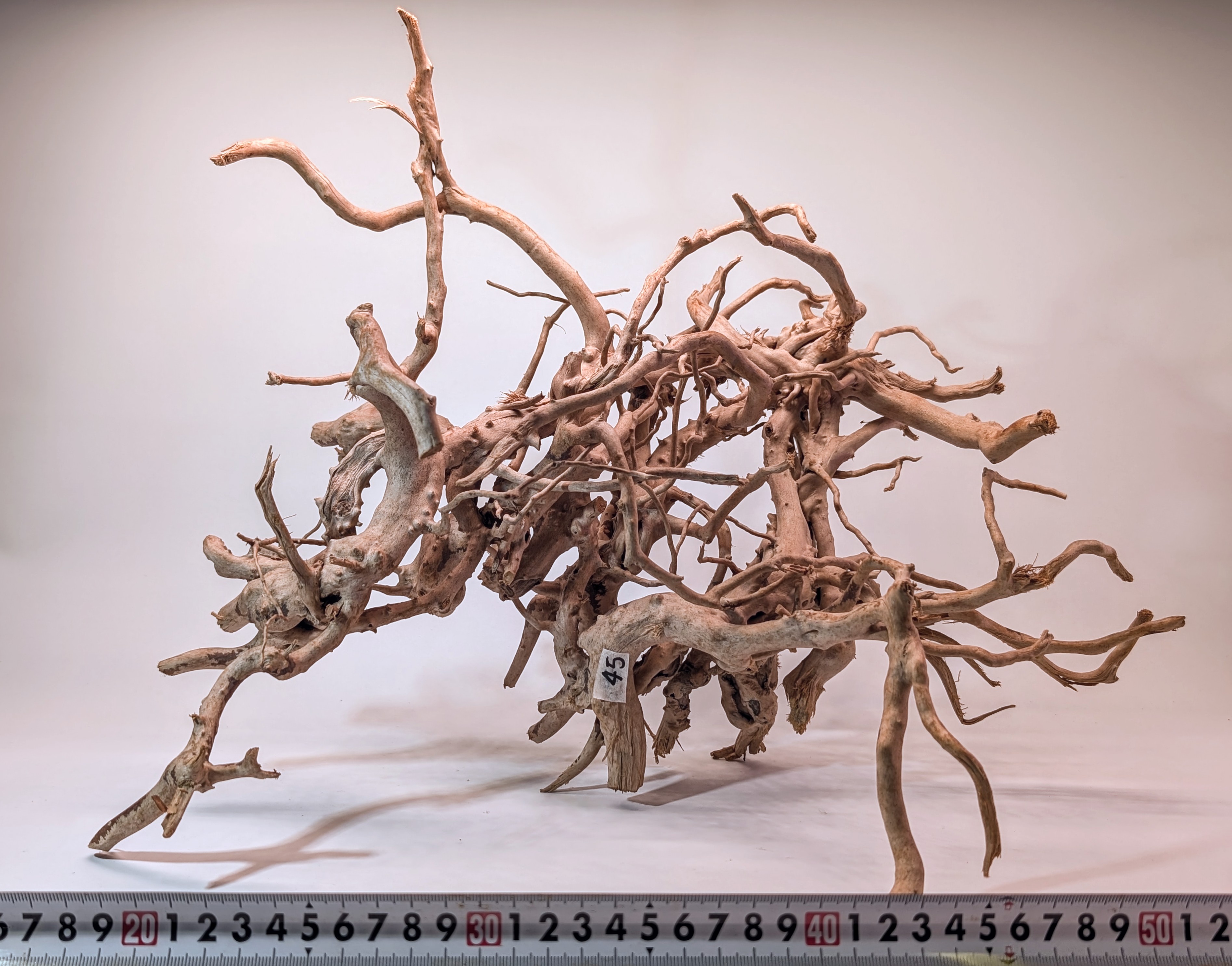 Aquarium Gold Vine driftwood jungle  XL 40-60cm