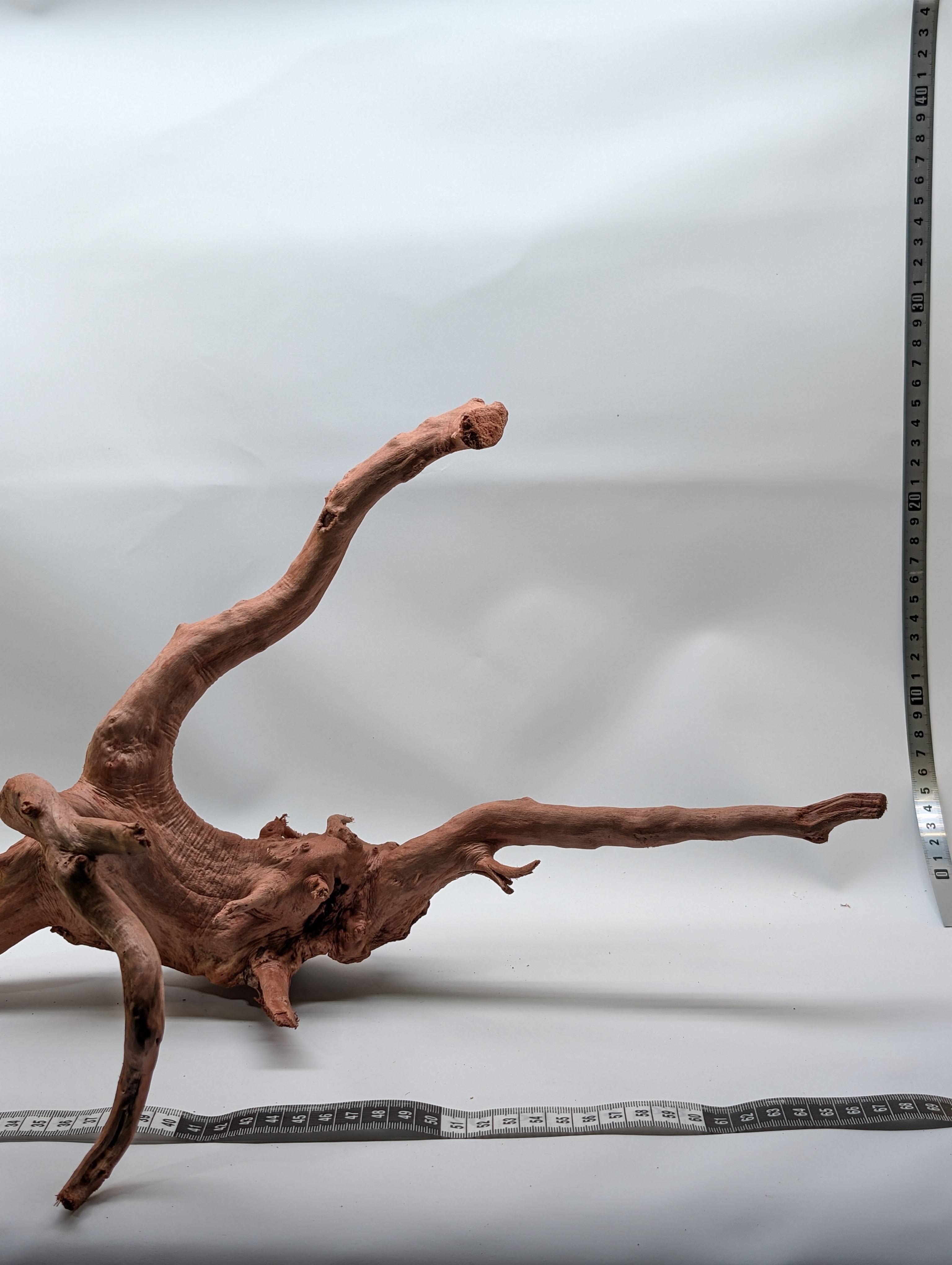 Aquarium gold vine driftwood  L size 25-40cm