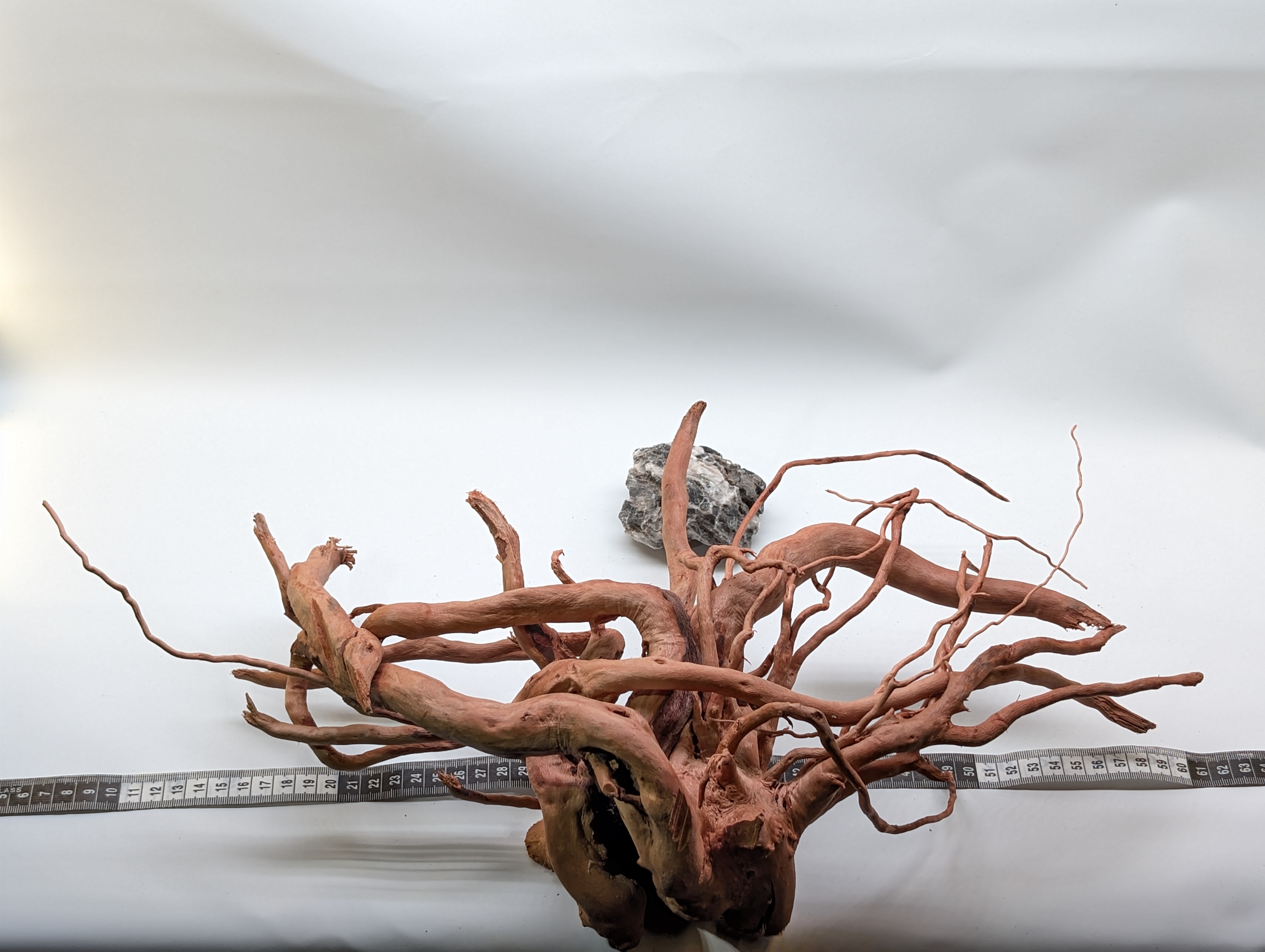 Aquarium Gold Vine driftwood  XL 40-60cm