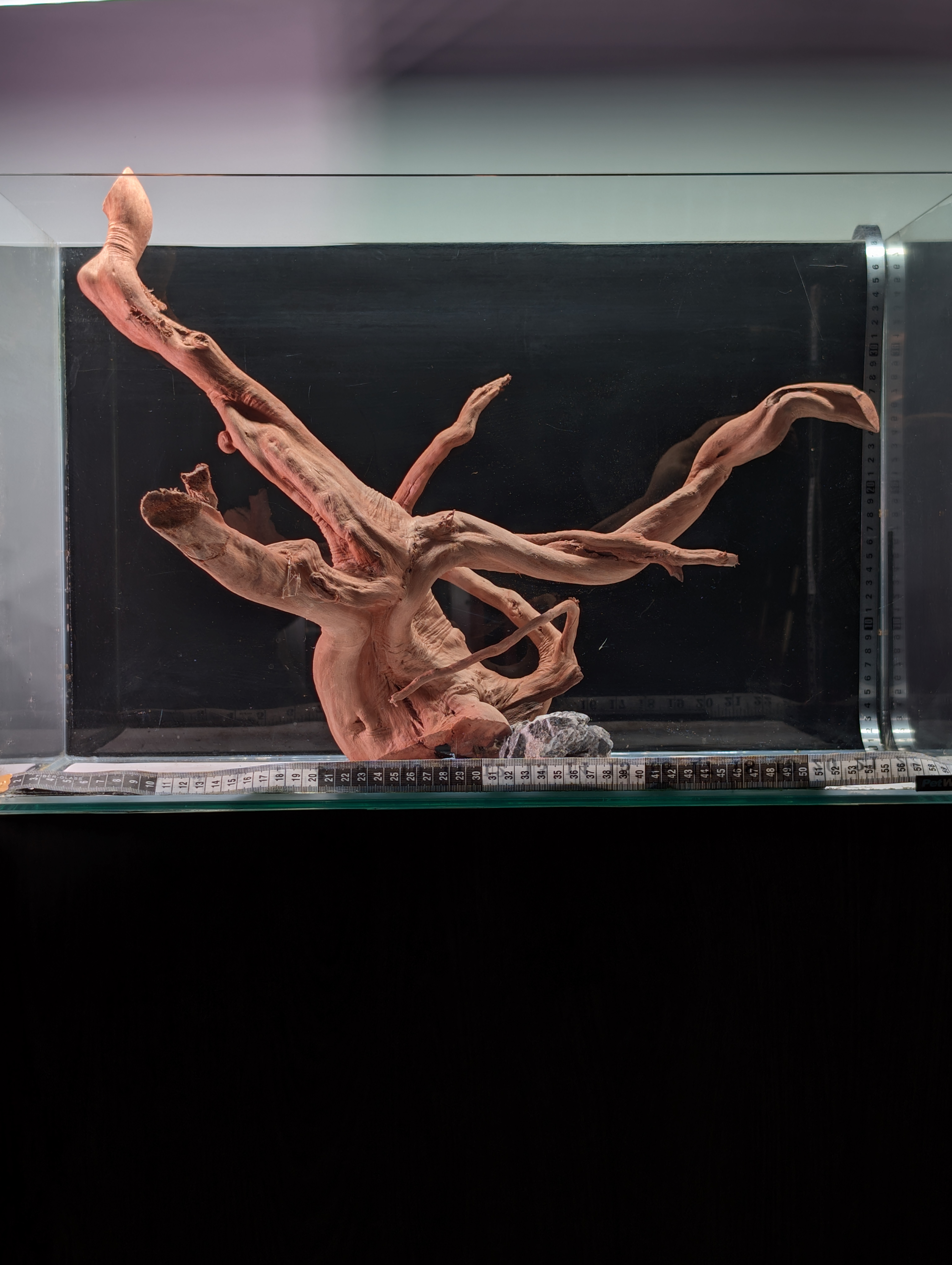 Aquarium Gold Vine driftwood  XL 40-60cm