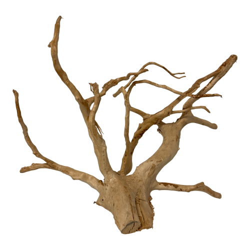 Aquarium gold vine drifrwood 50-60cm xl