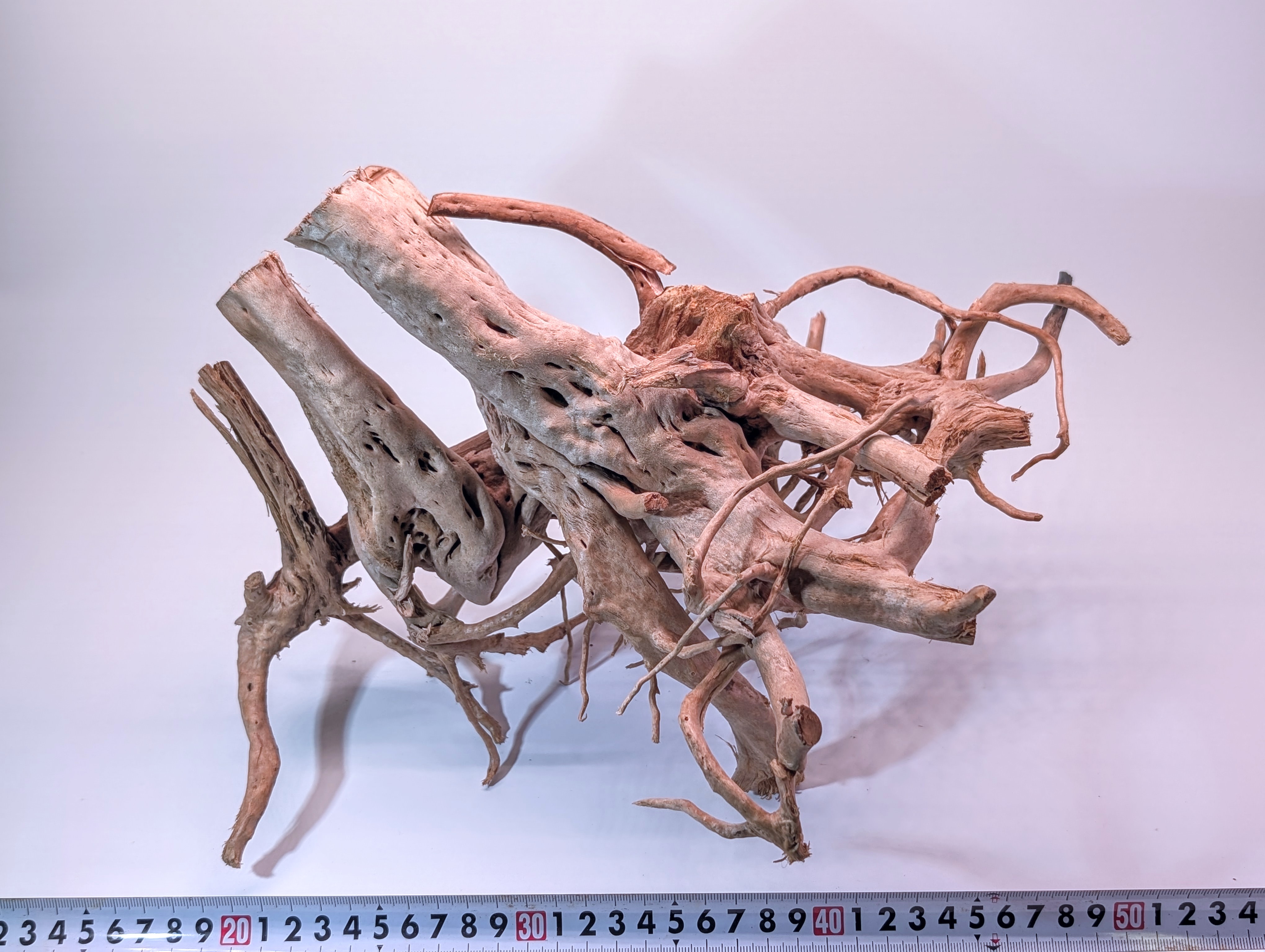 Aquarium Gold Vine driftwood  XL 40-60cm