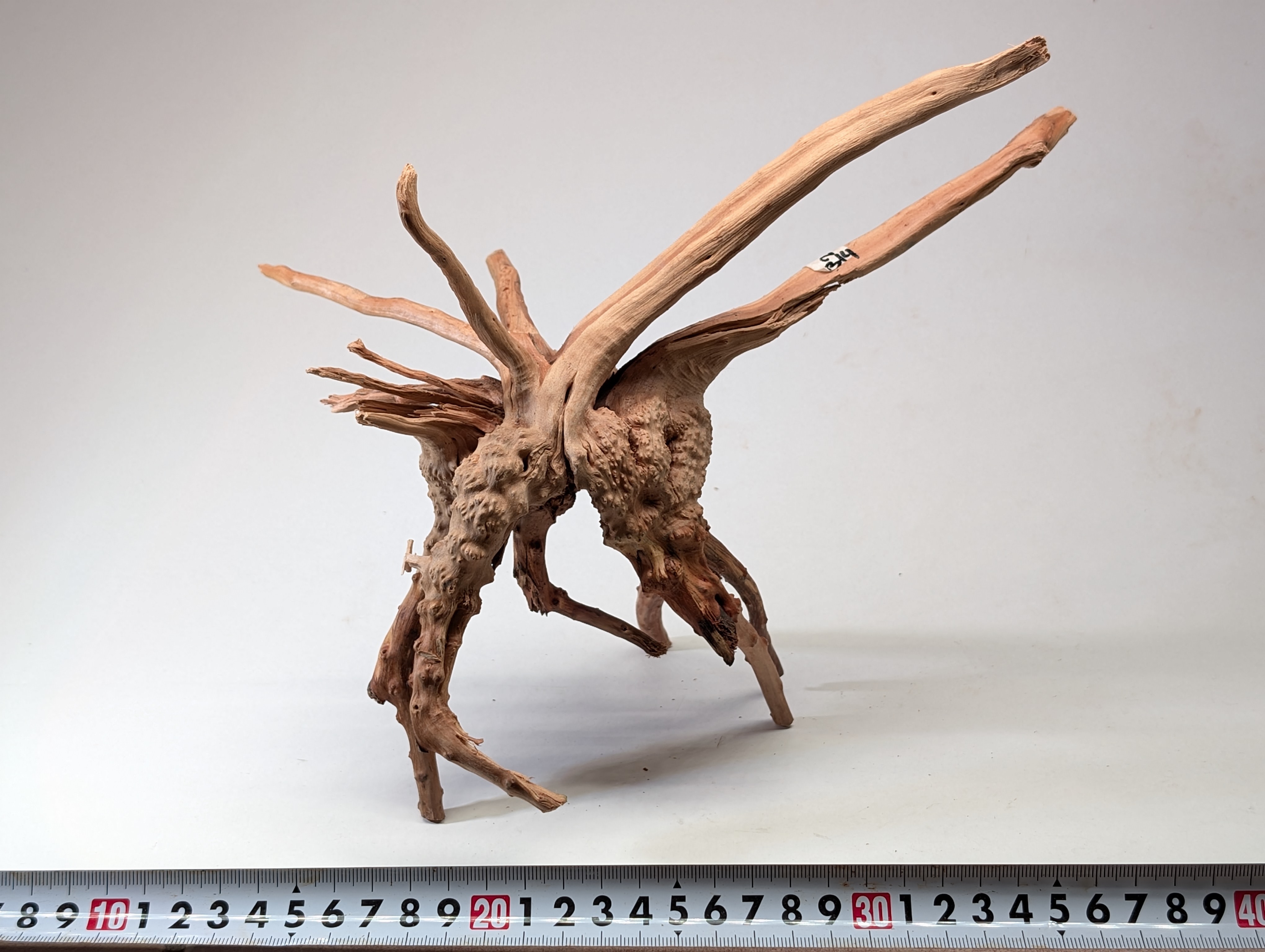 Aquarium gold vine driftwood  L size 25-40cm