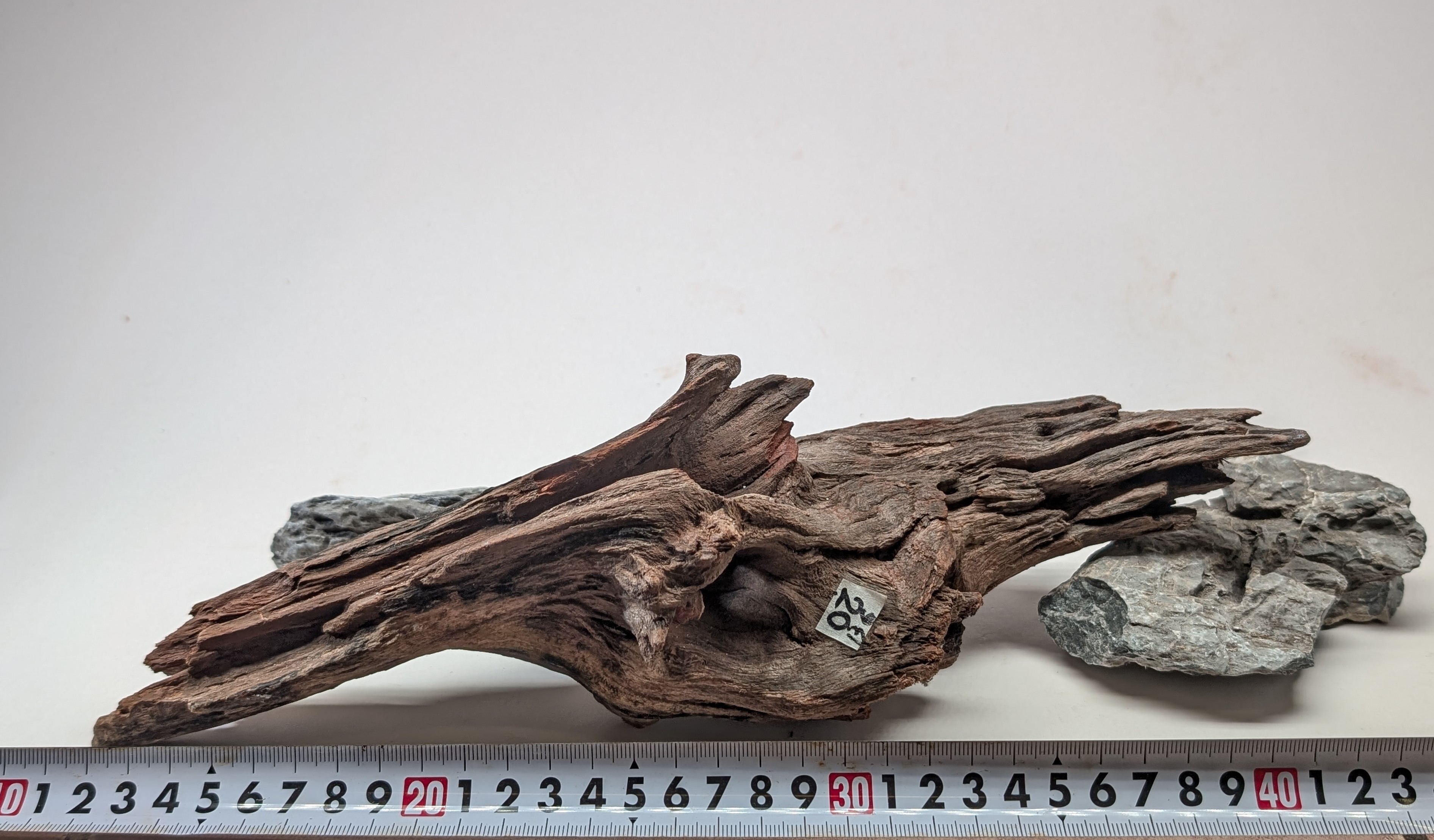 Natural driftwood  L size 25-40cm