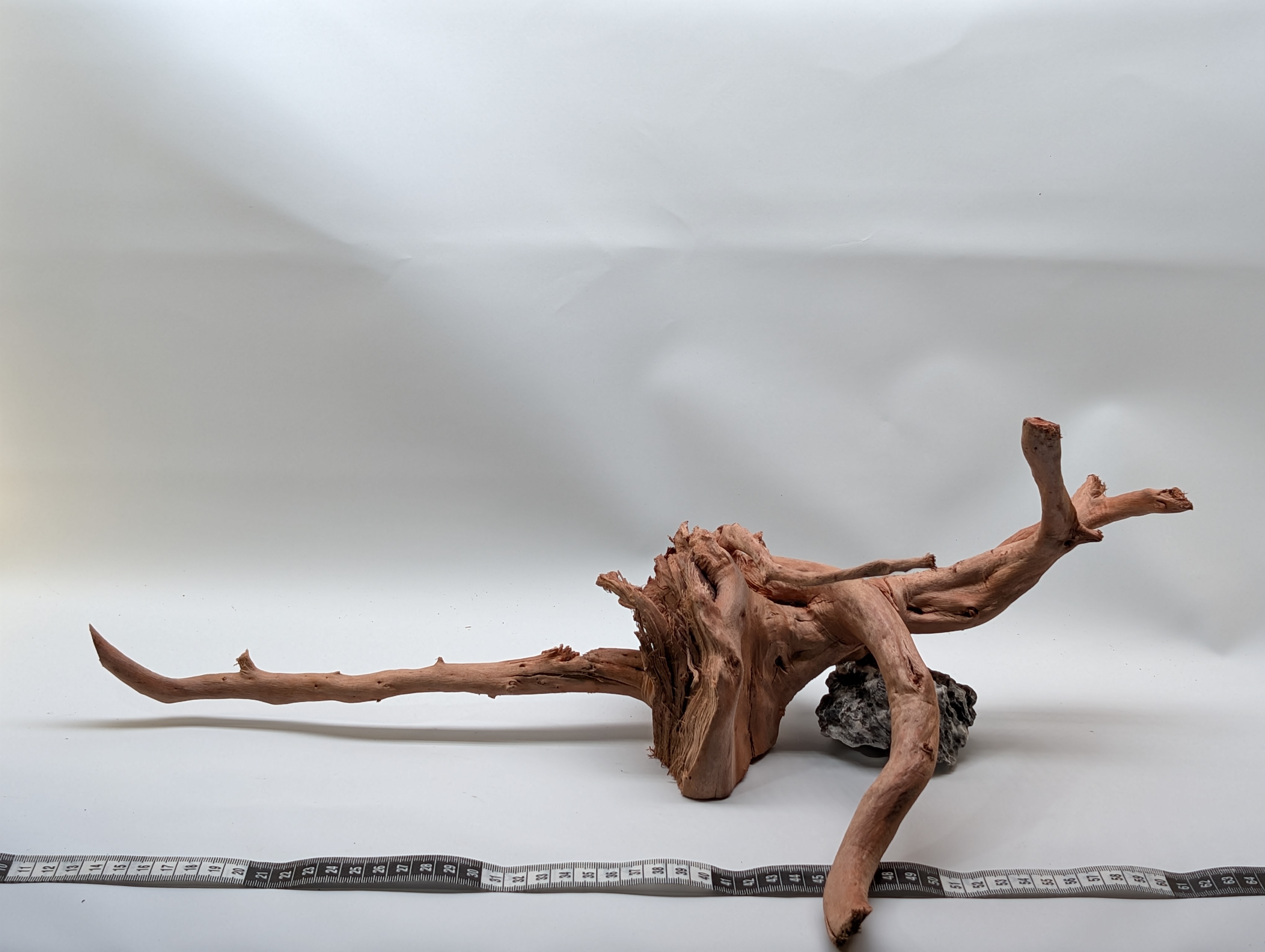 Aquarium gold vine driftwood  L size 25-40cm