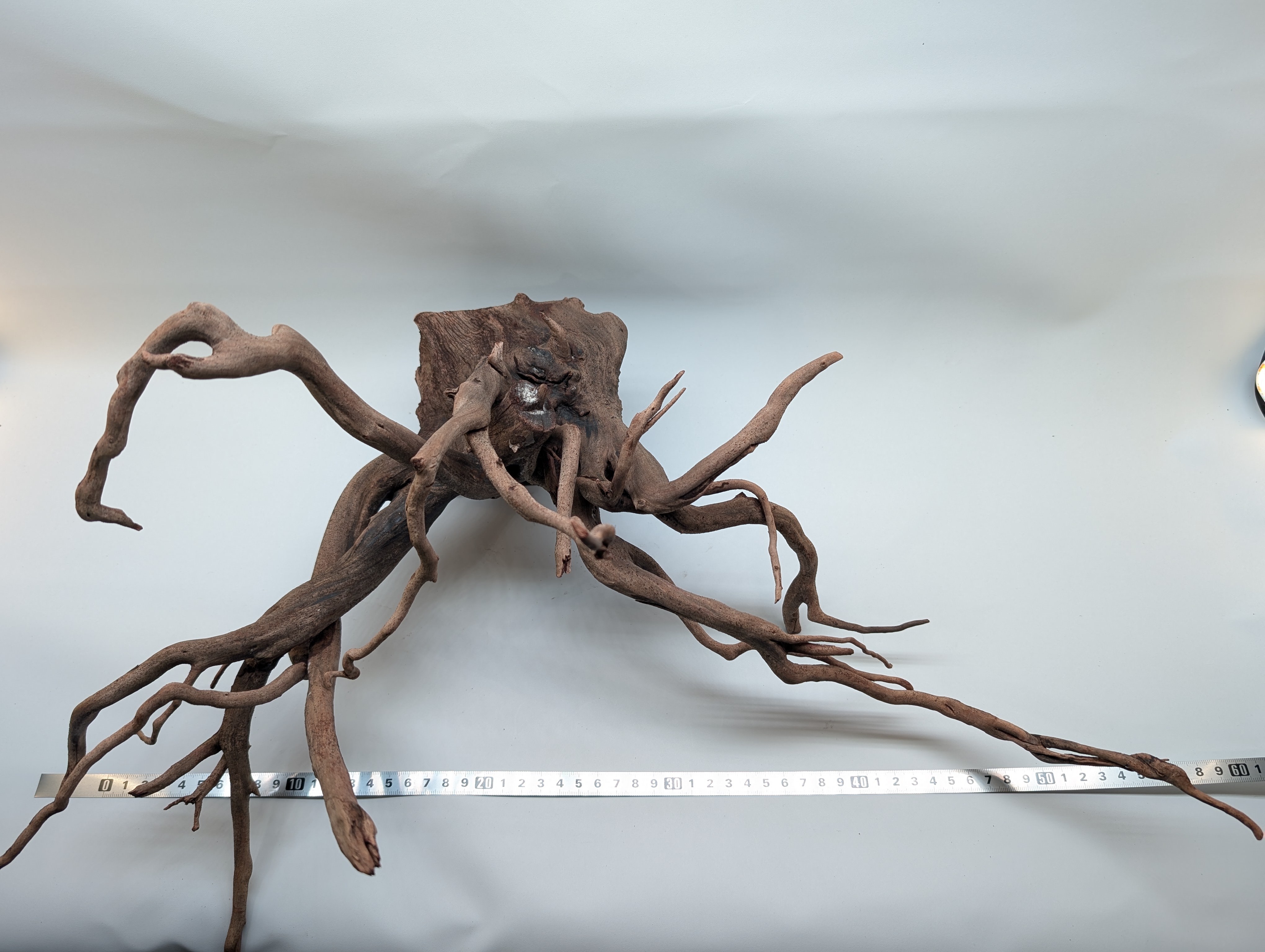 Aquarium Gold Vine driftwood  XL 40-60cm