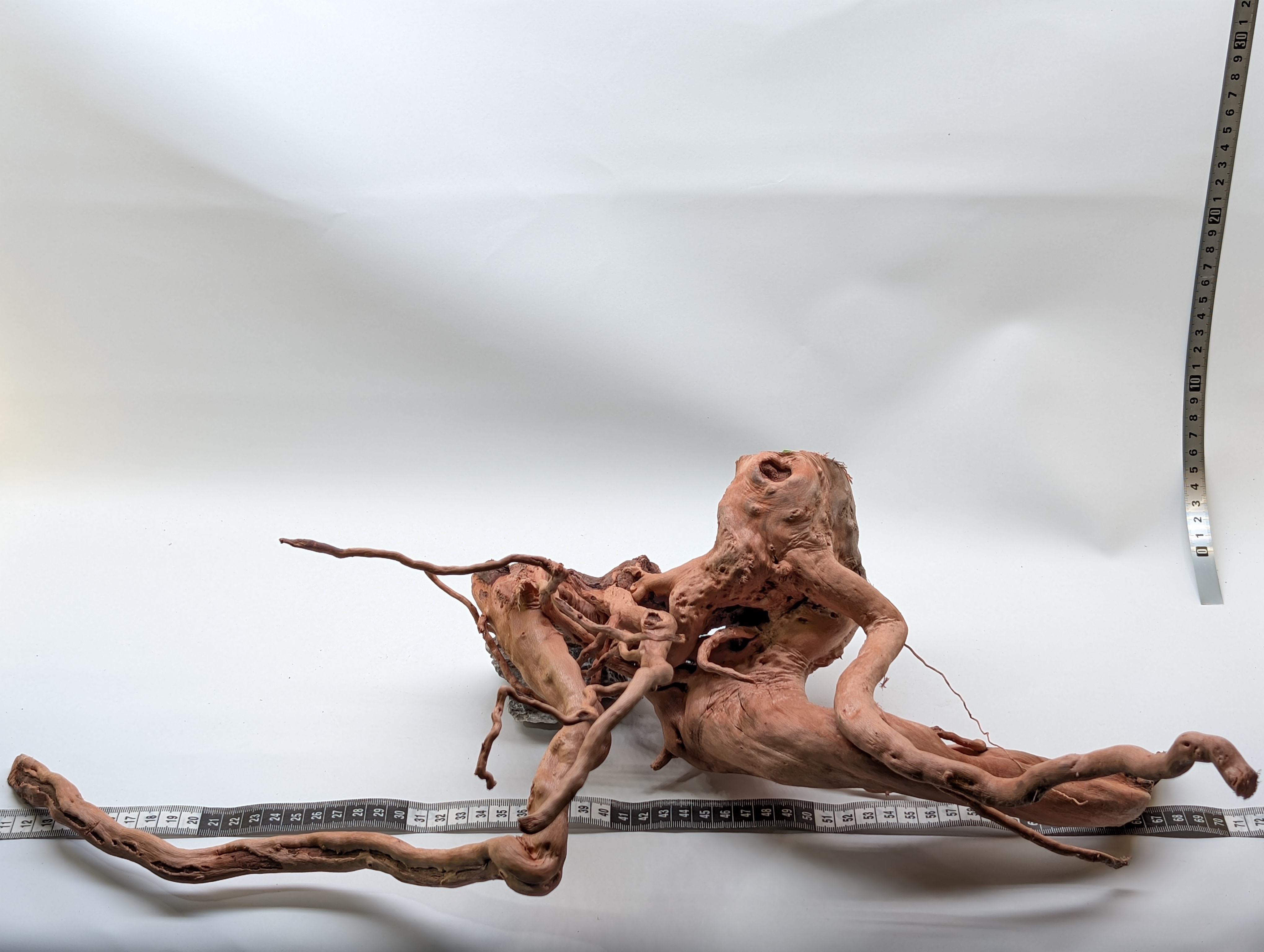 Aquarium Gold Vine driftwood  XL 40-60cm