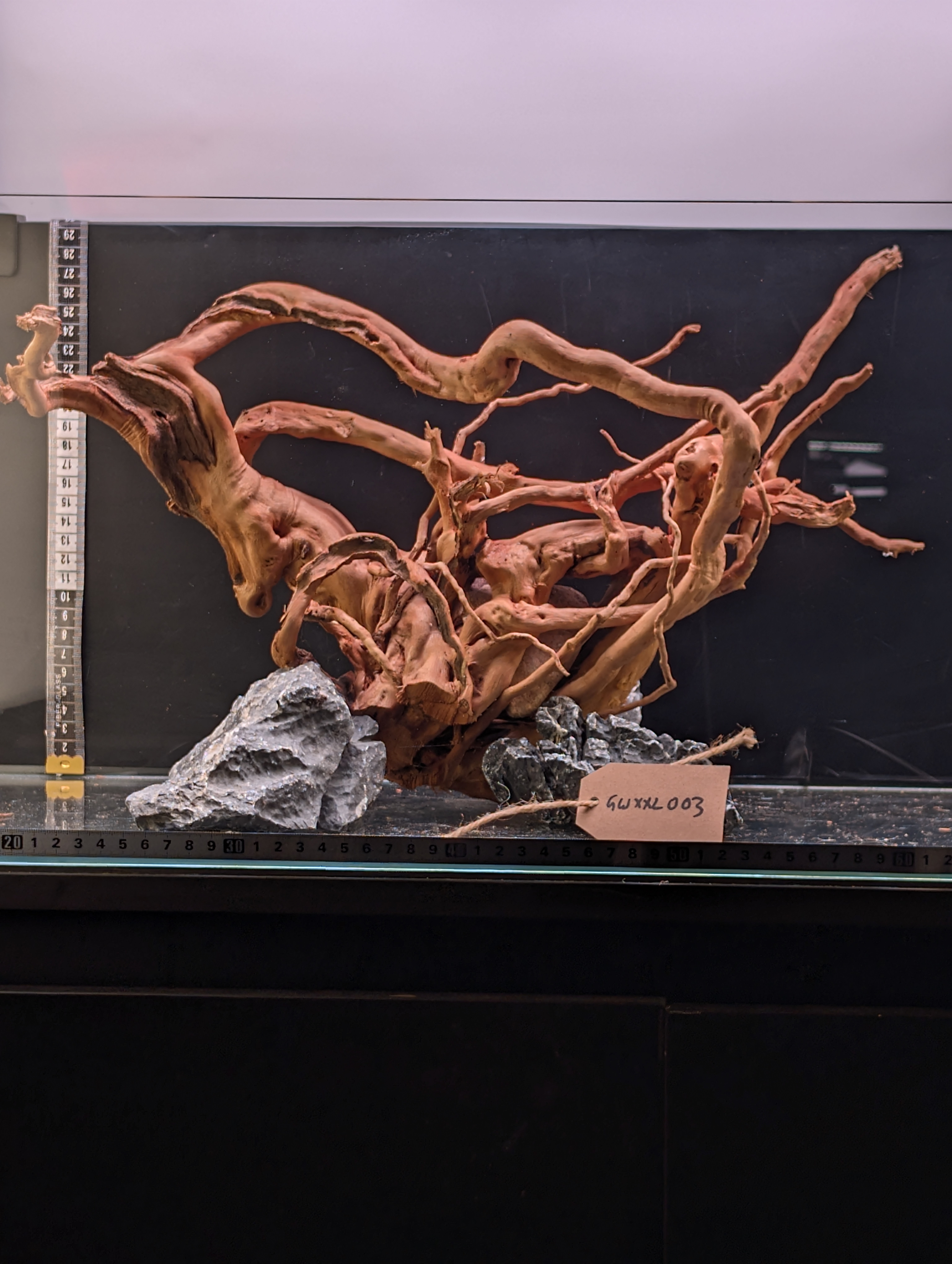 Aquarium Gold Vine driftwood  XL 40-60cm