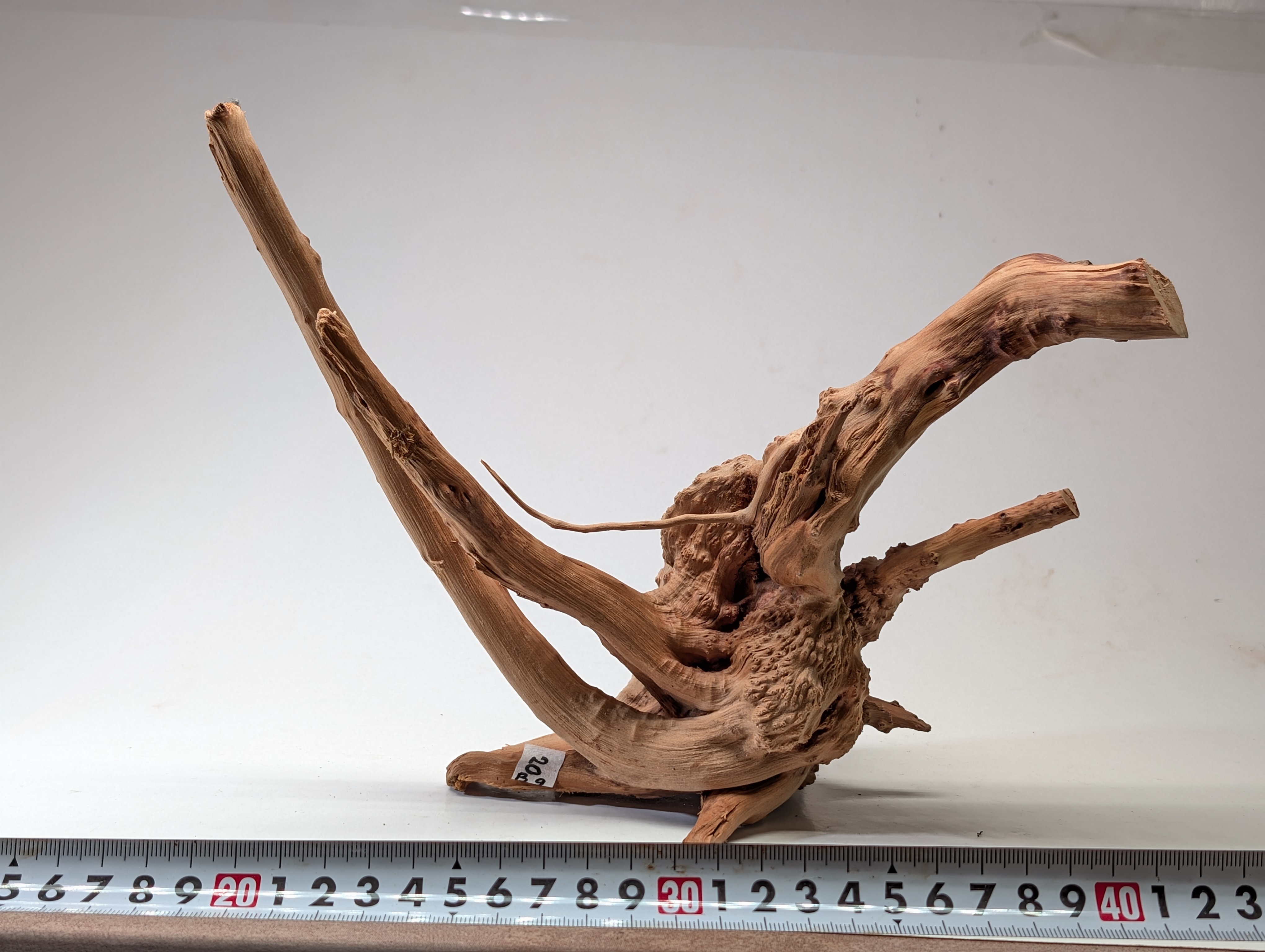 Aquarium gold vine driftwood L size 20-30cm