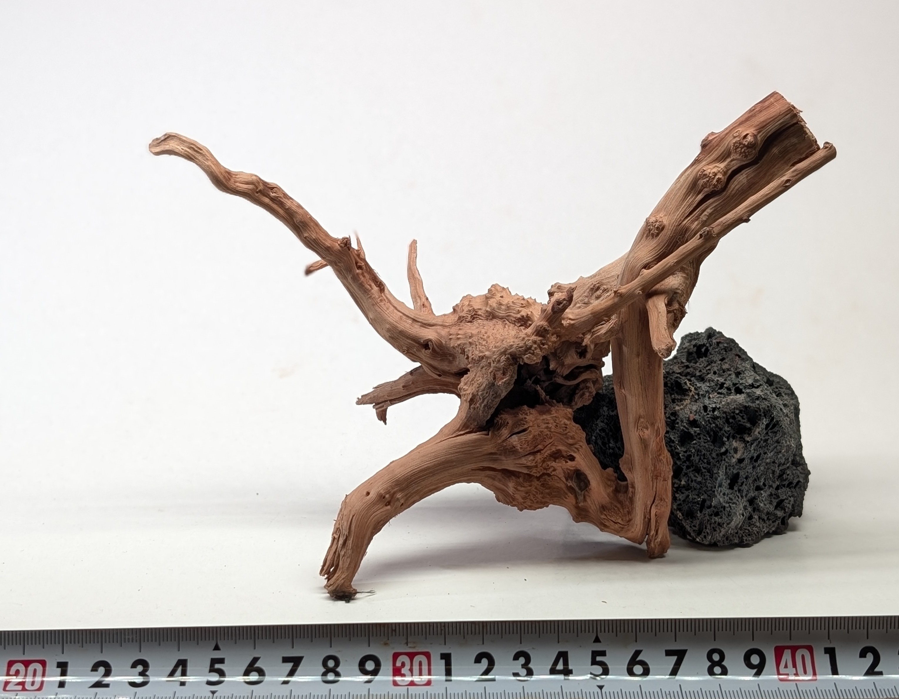 Aquarium gold vine drifrwood 20-25cm