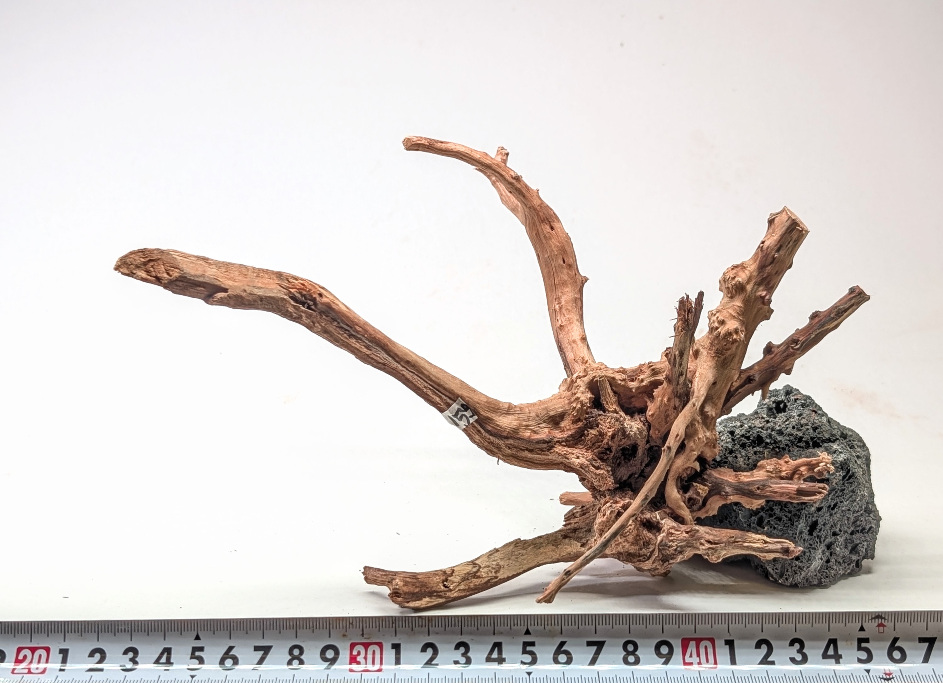 Aquarium gold vine drifrwood 20-25cm