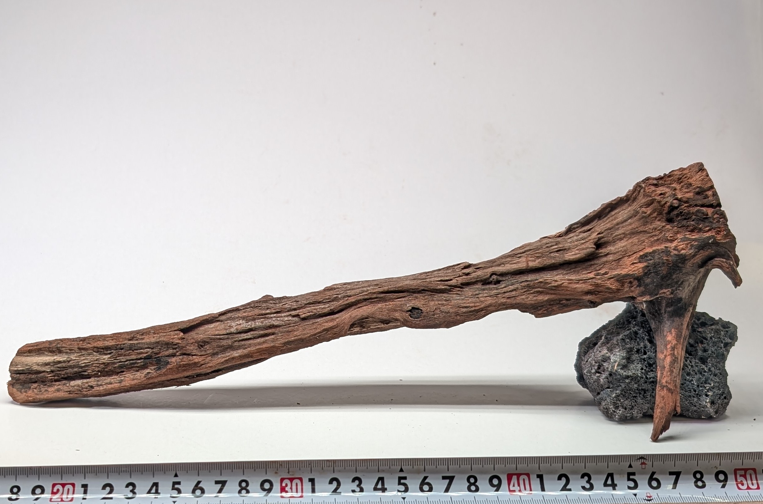 Aquarium  drifrwood  Medium 30cm