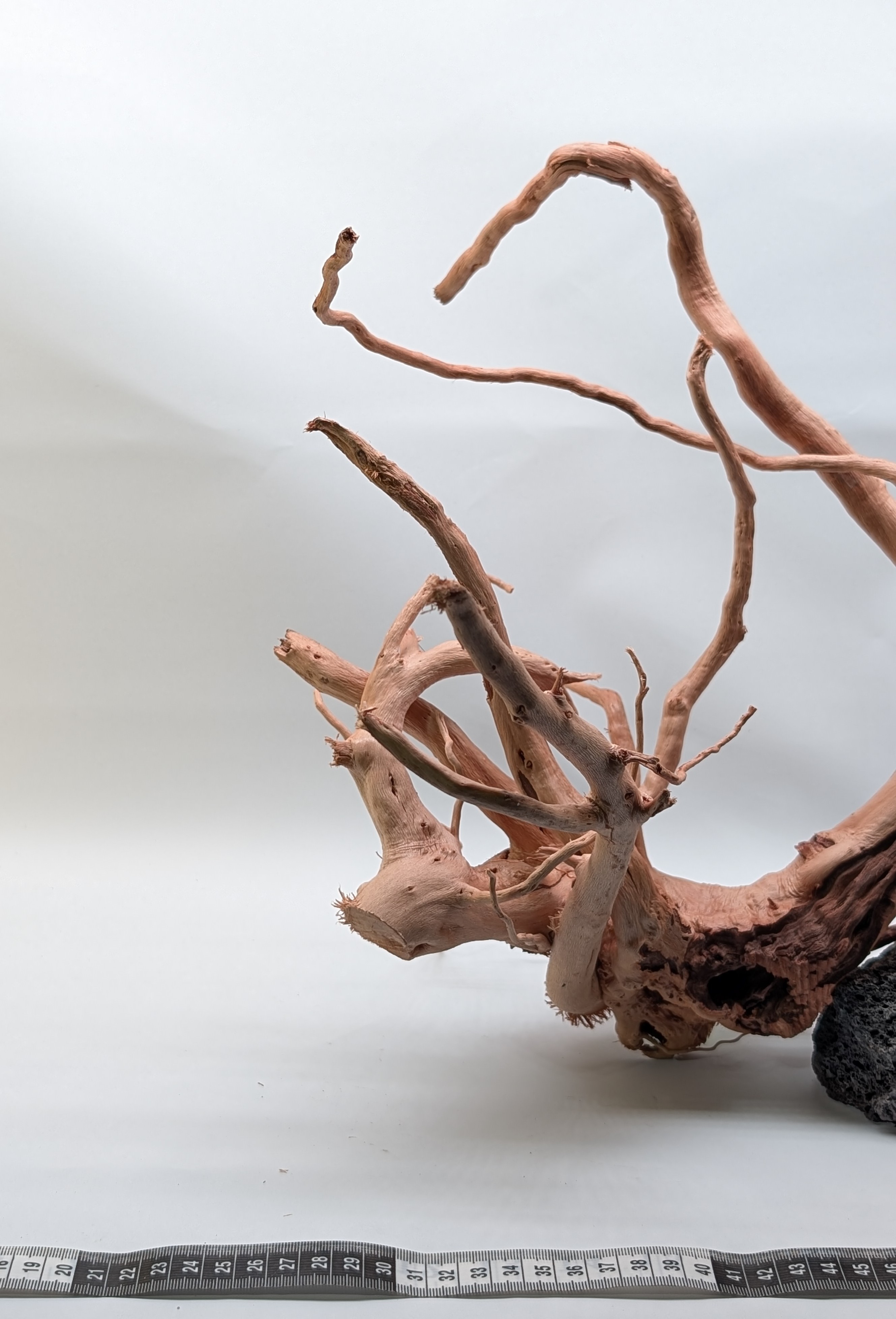 Aquarium Gold Vine driftwood  XL 40-60cm