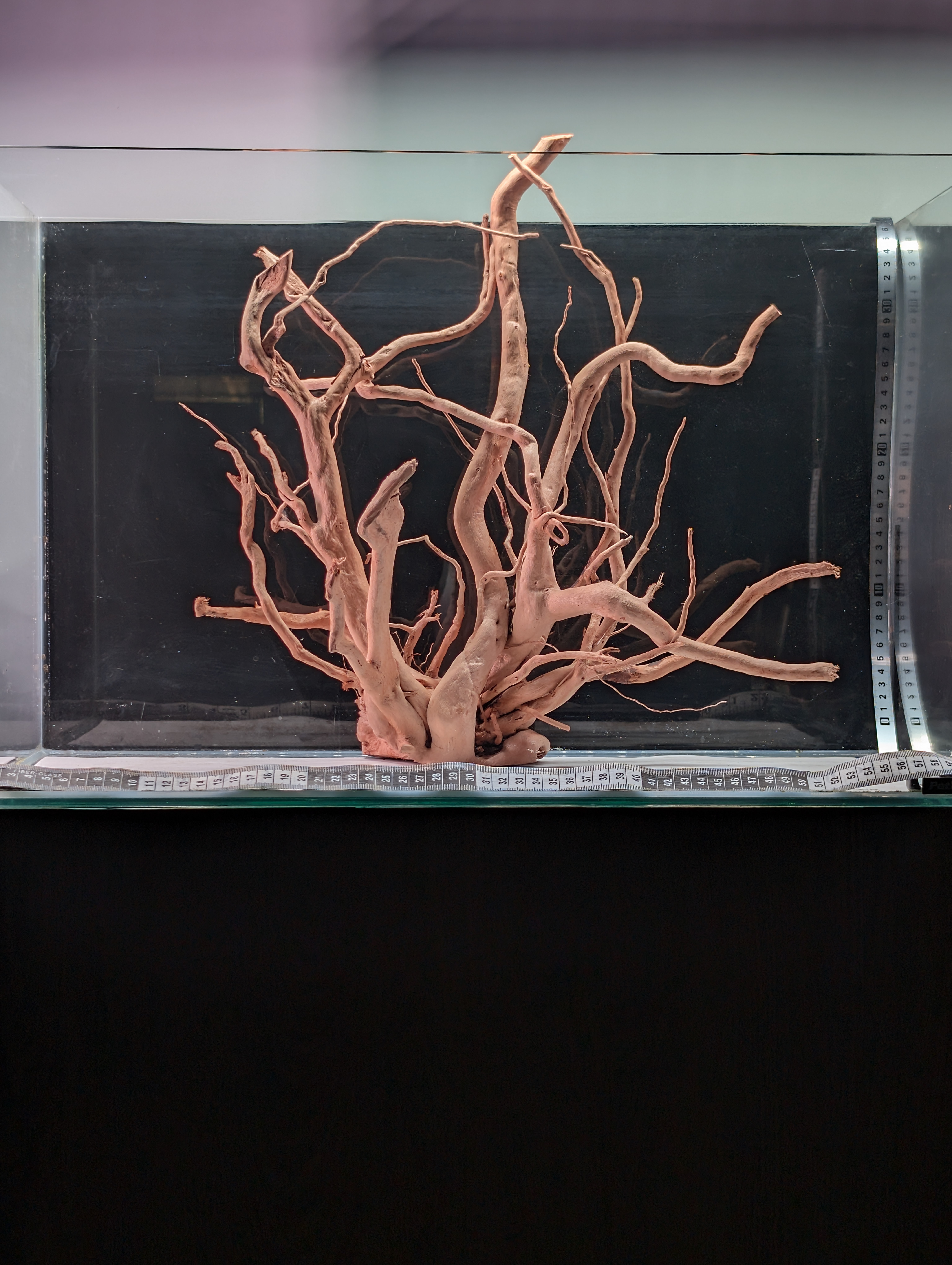 Aquarium Gold Vine driftwood  XL 40-60cm