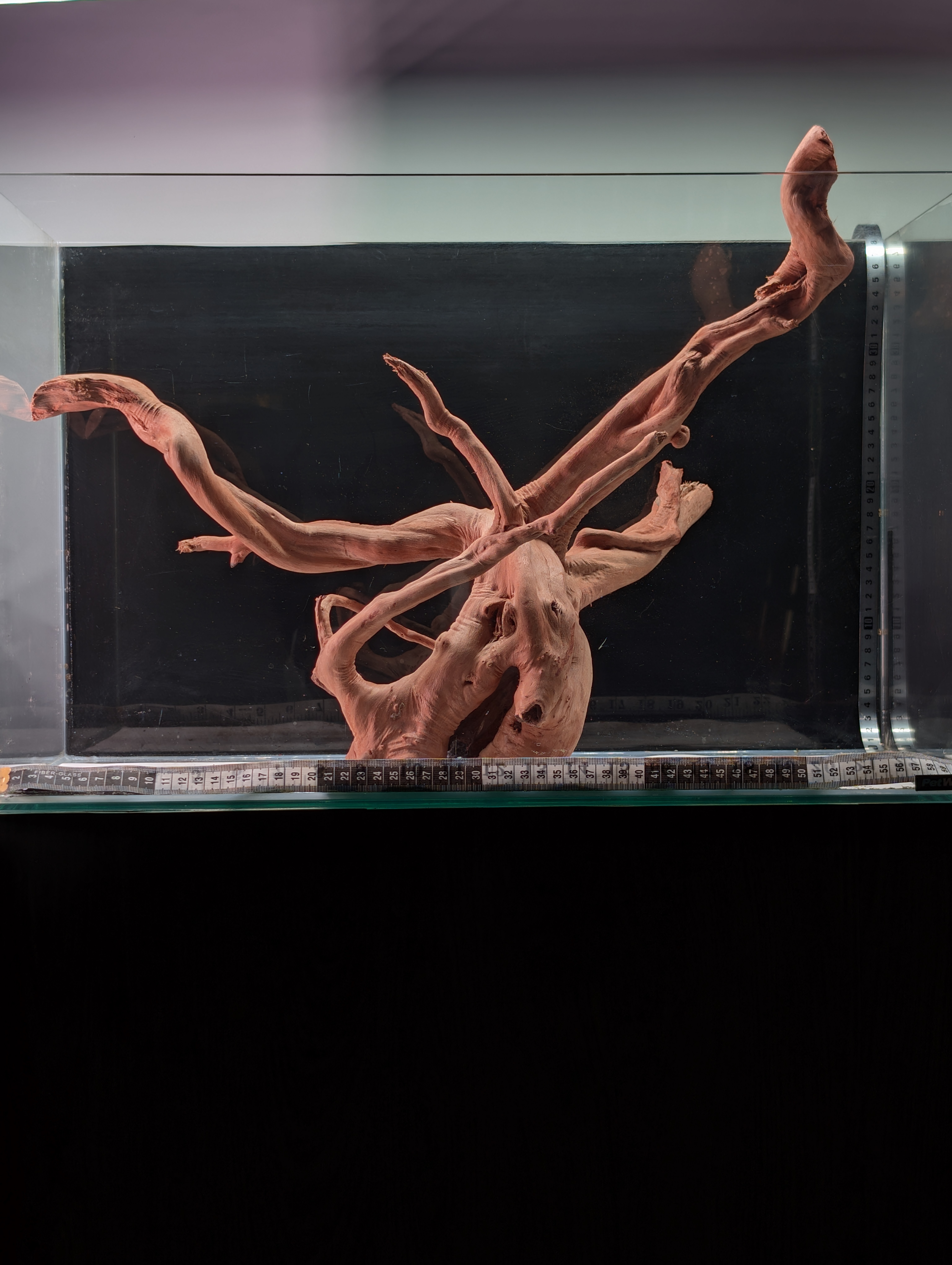 Aquarium Gold Vine driftwood  XL 40-60cm