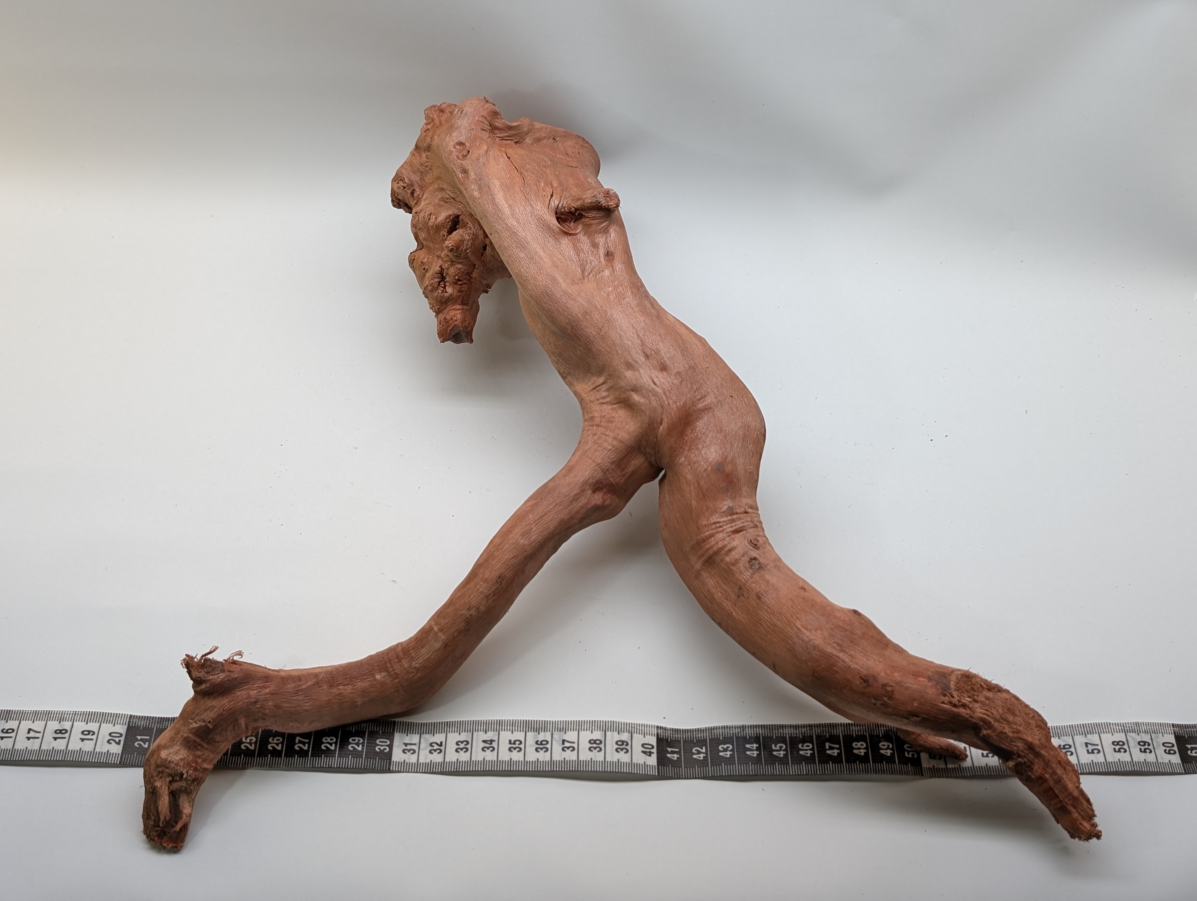 Aquarium gold vine driftwood  L size 25-40cm