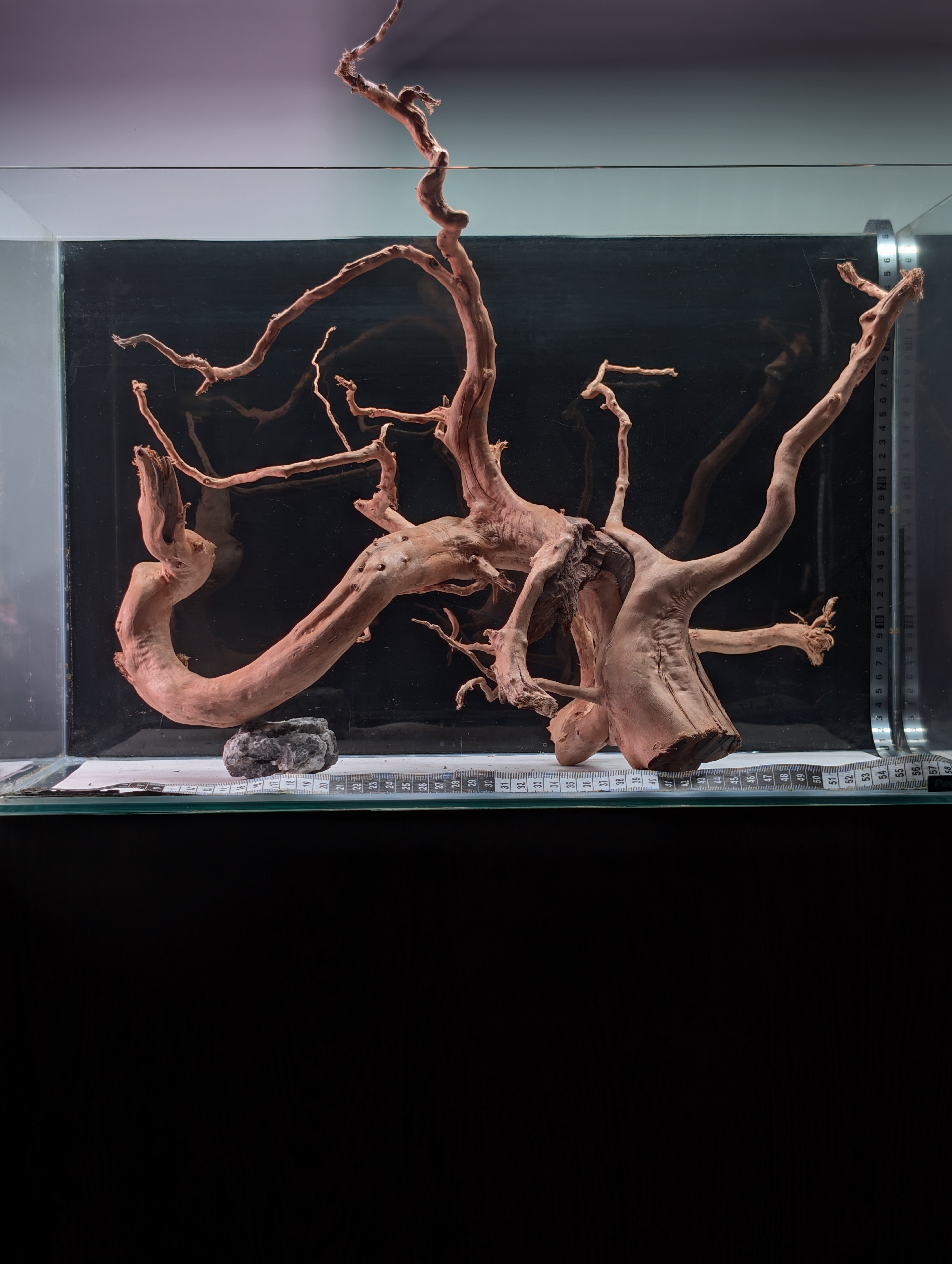 Aquarium Gold Vine driftwood  XL 40-60cm