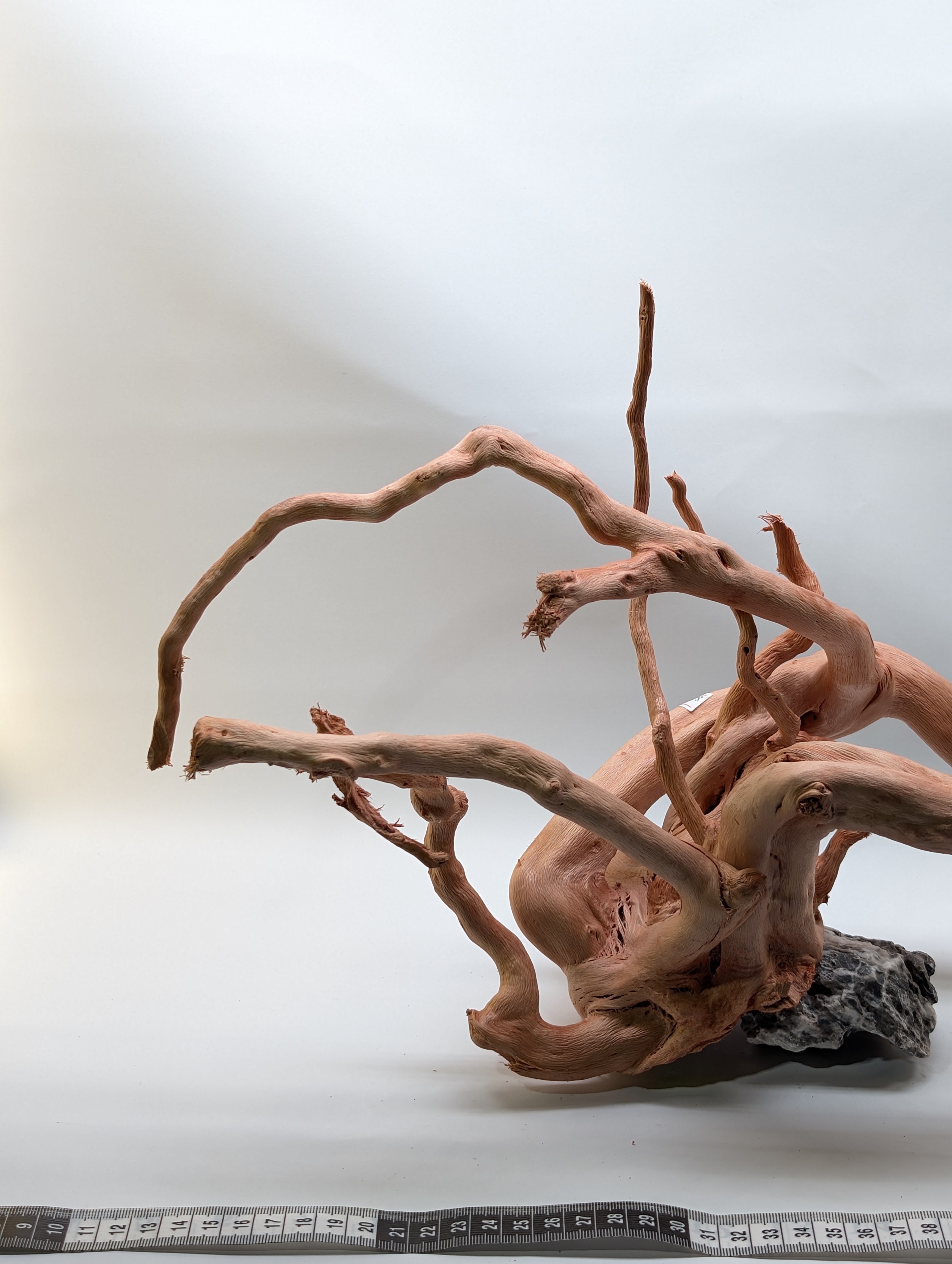 Aquarium Gold Vine driftwood  XL 40-60cm