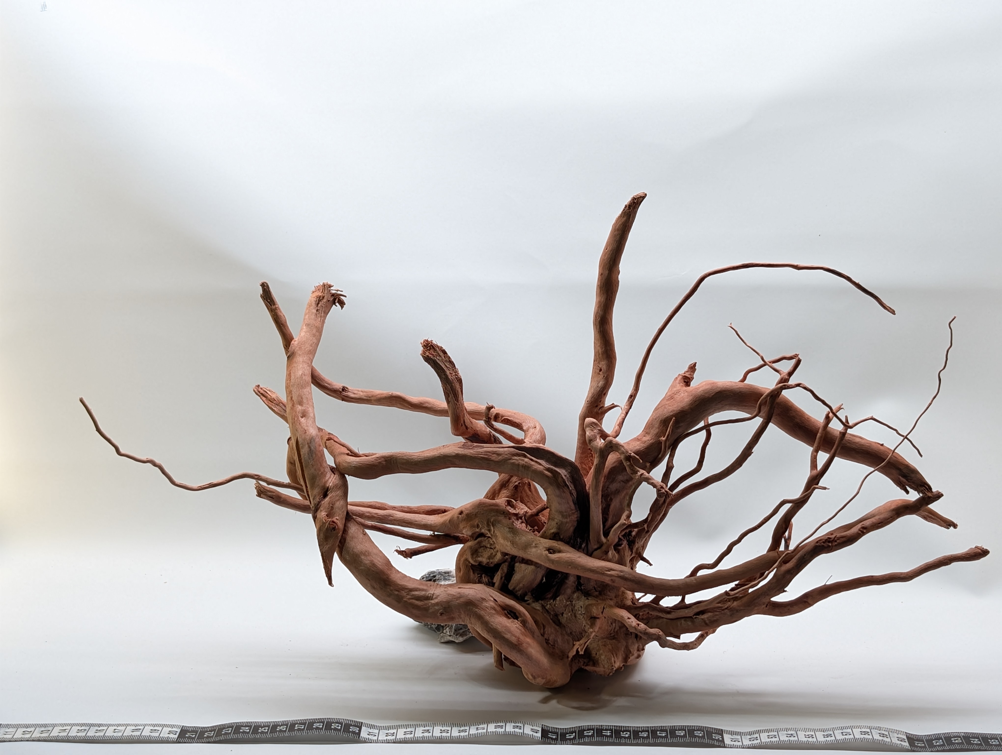 Aquarium Gold Vine driftwood XL 40-60cm