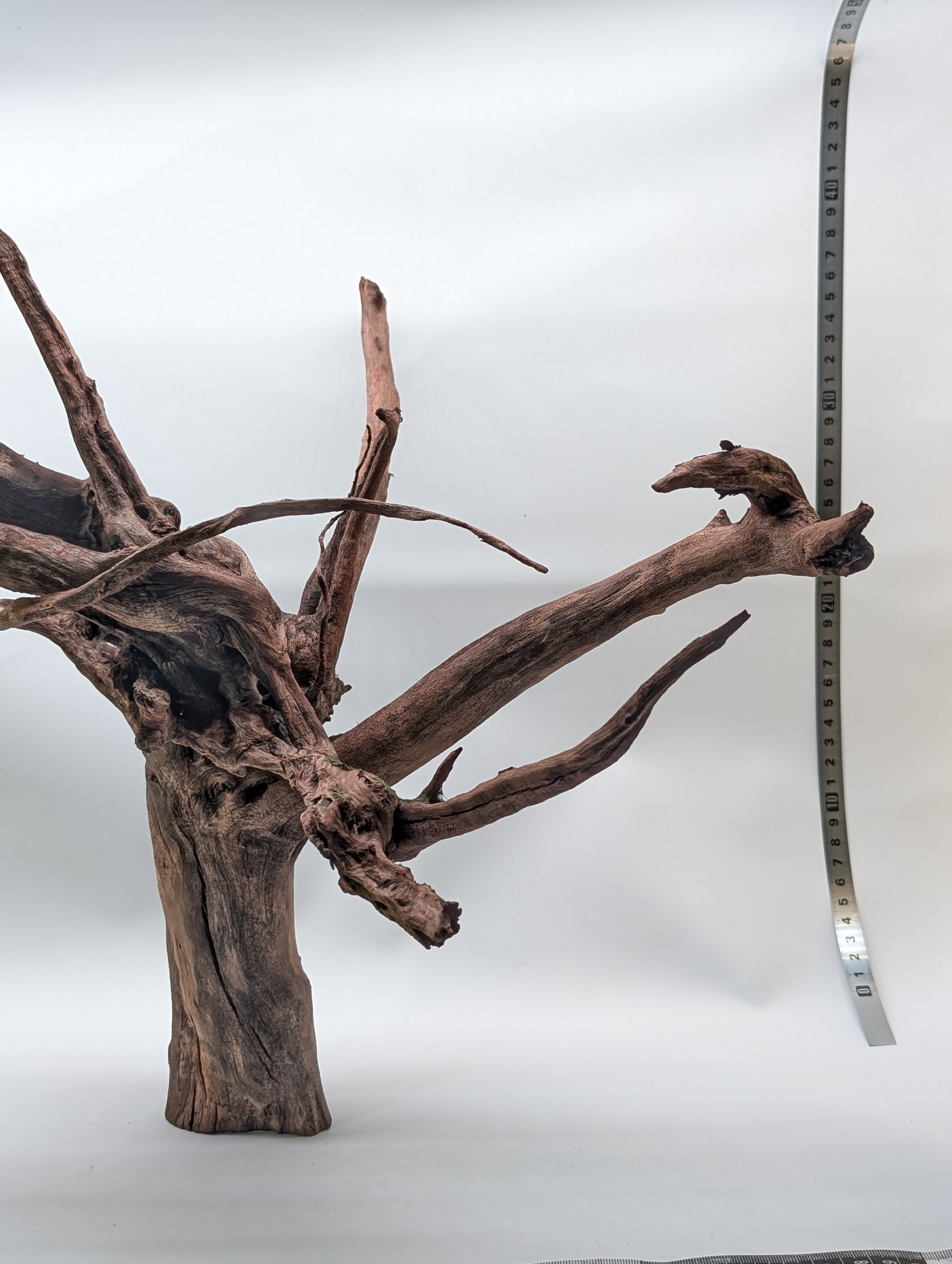 Aquarium Gold Vine driftwood  XL 40-60cm