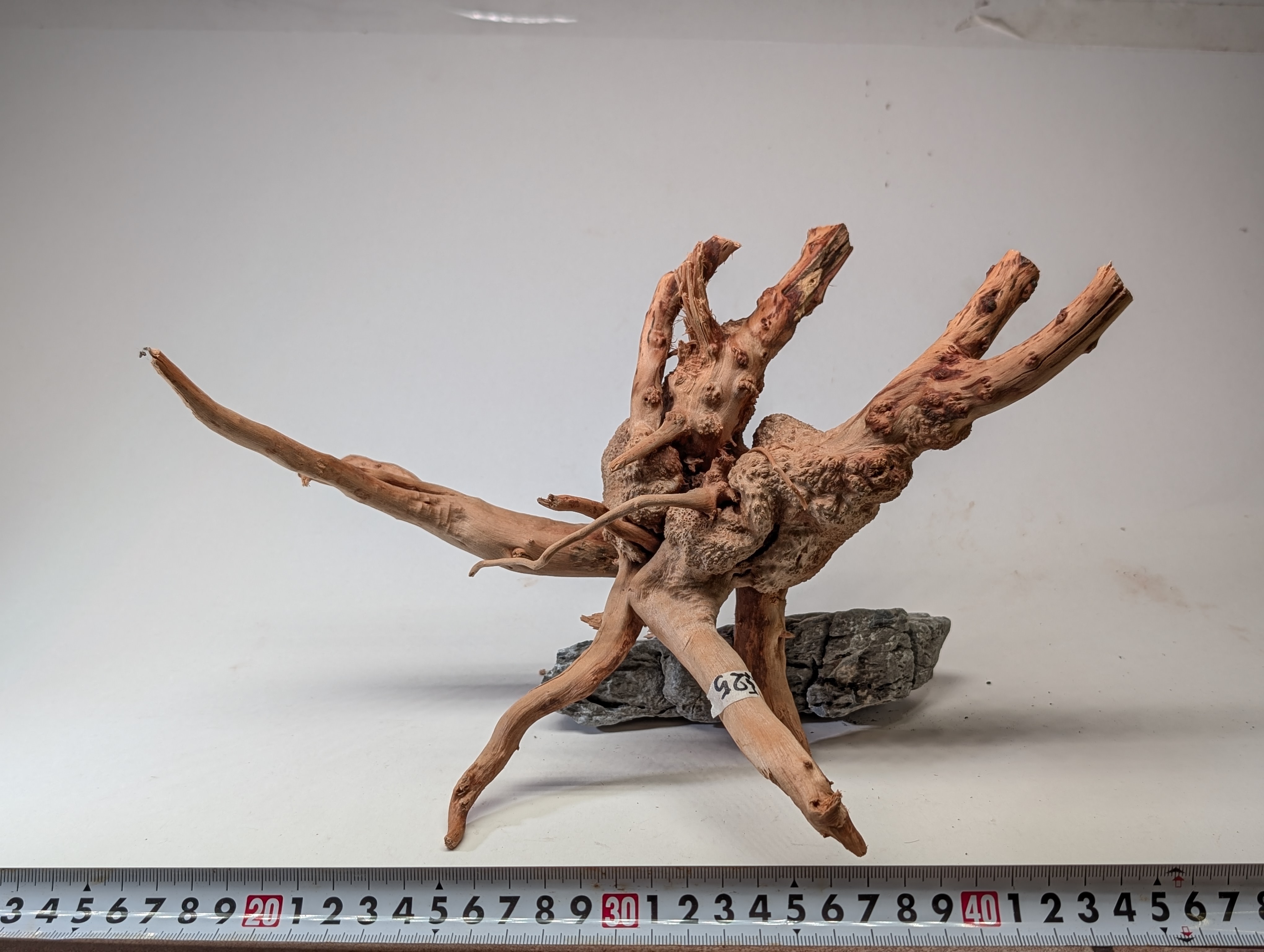 Aquarium gold vine driftwood  L size 25-40cm