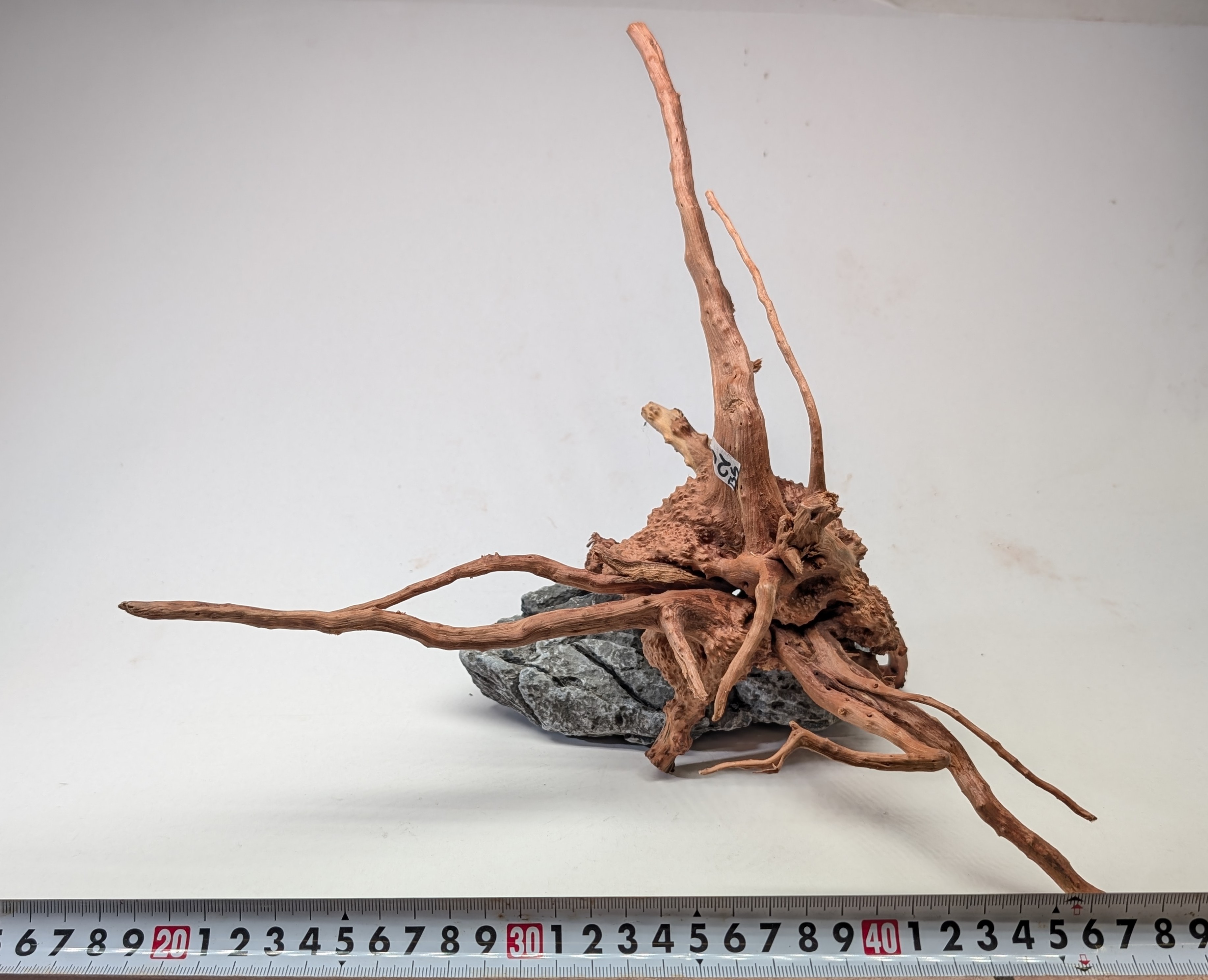 Aquarium gold vine driftwood  L size 25-40cm