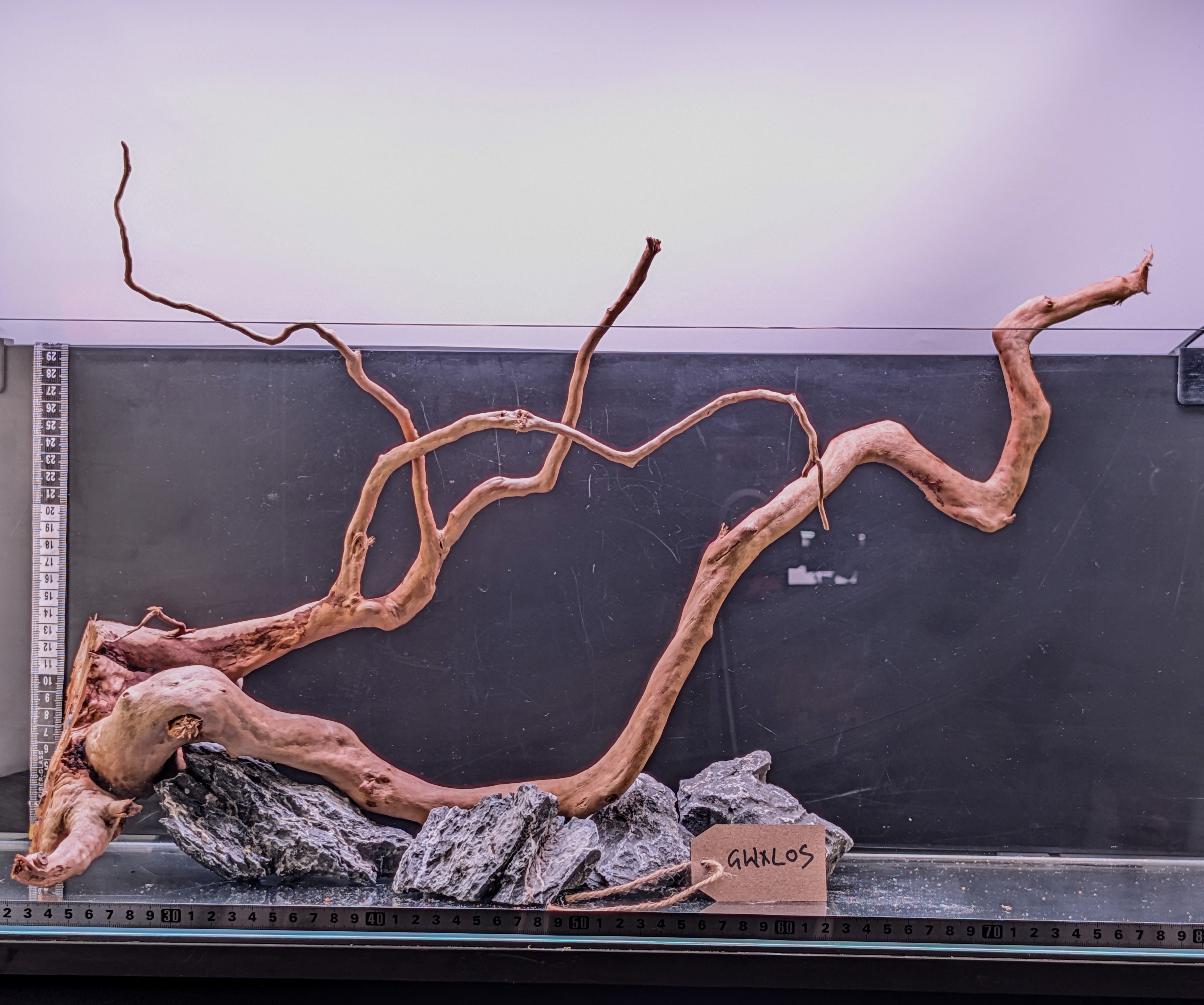 Aquarium Gold Vine driftwood  XL 60-80cm