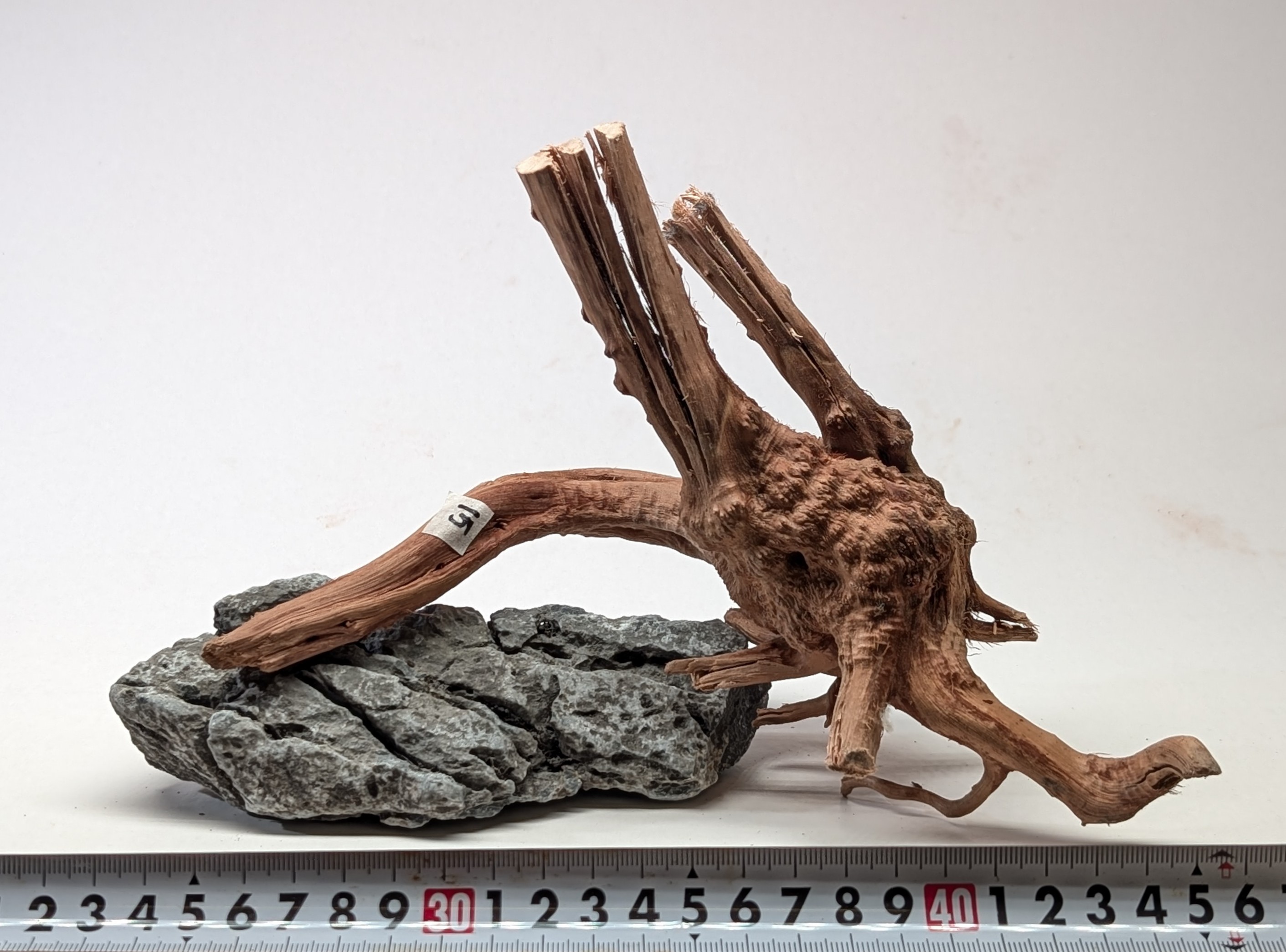 Aquarium gold vine drifrwood 20-25cm