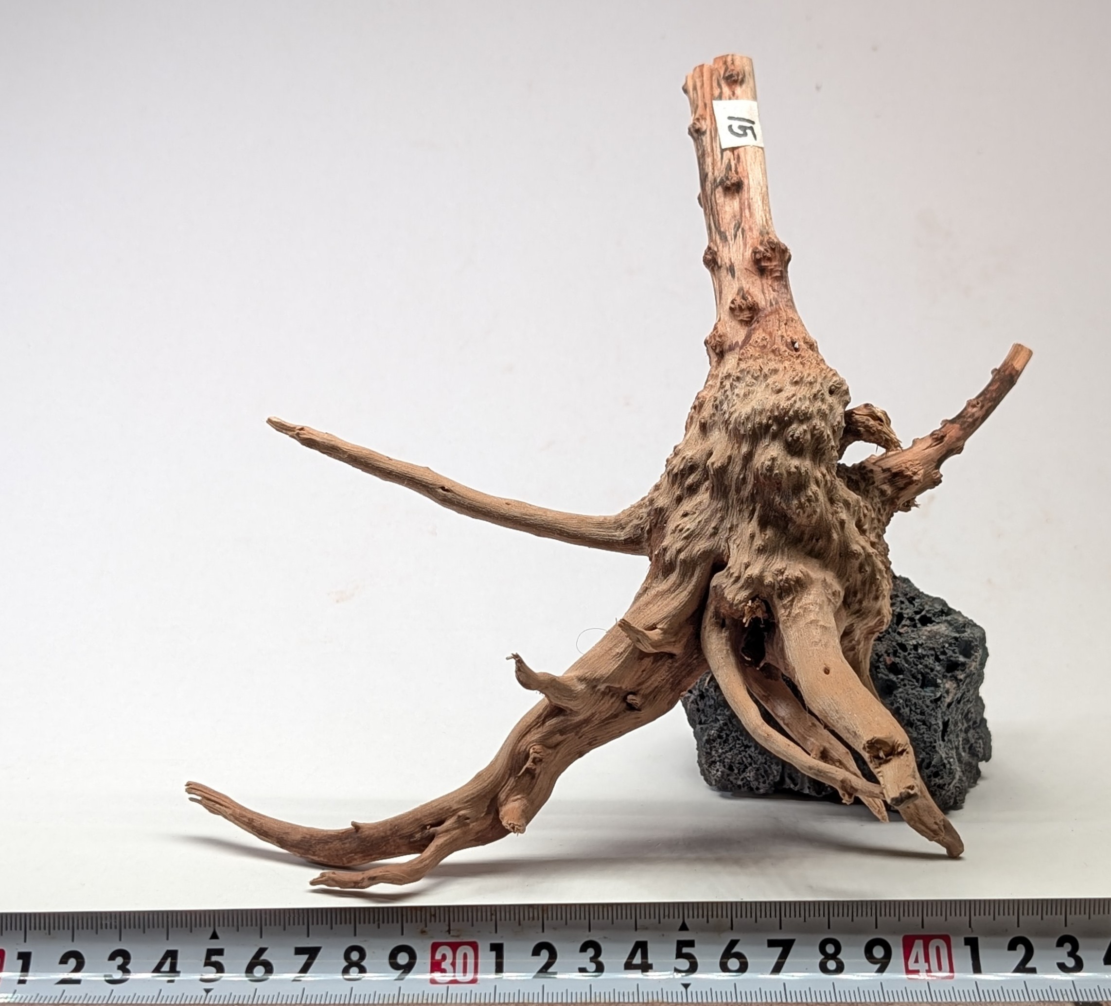 Aquarium gold vine drifrwood 20-25cm