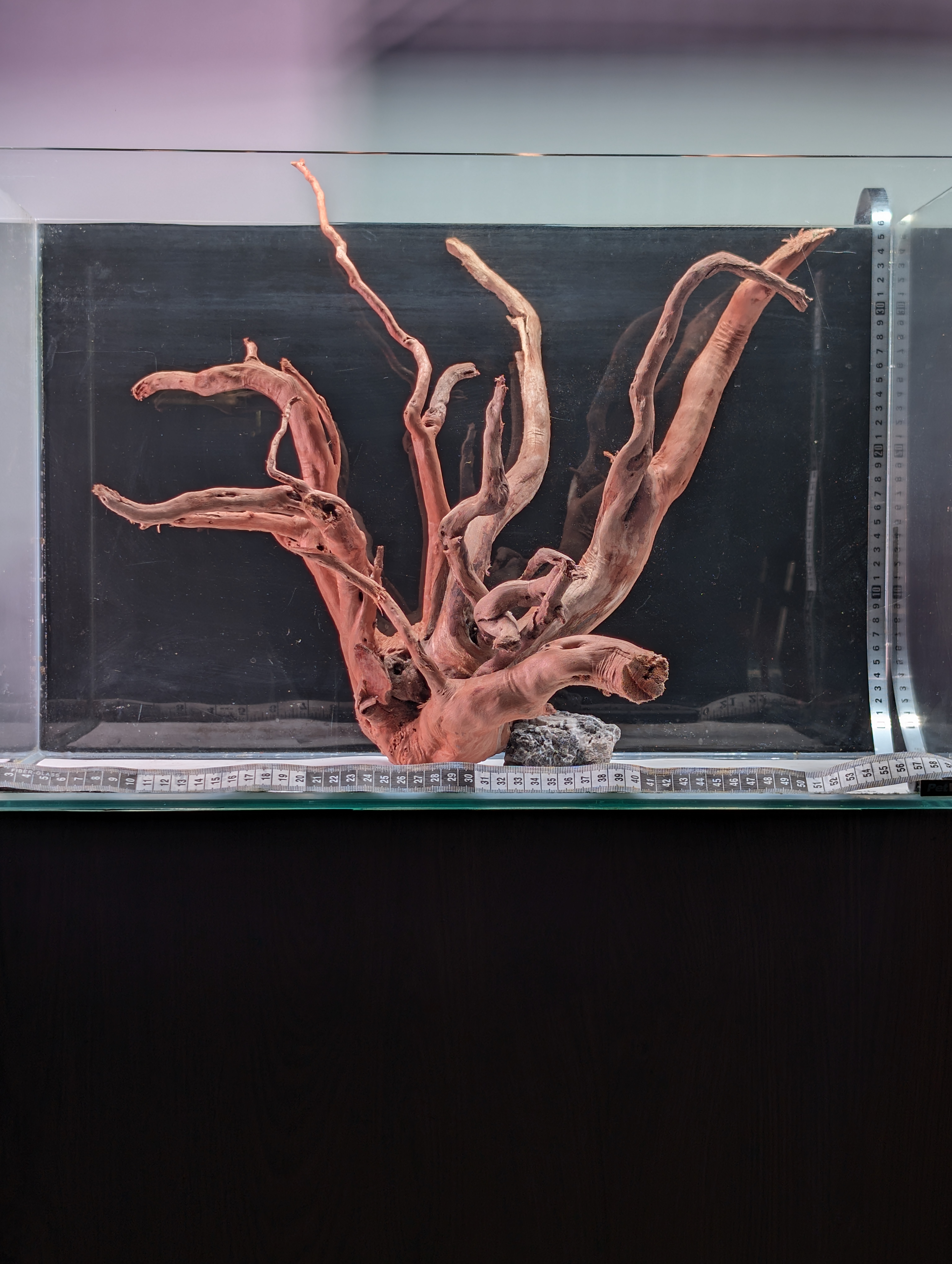 Aquarium Gold Vine driftwood XL 40-60cm