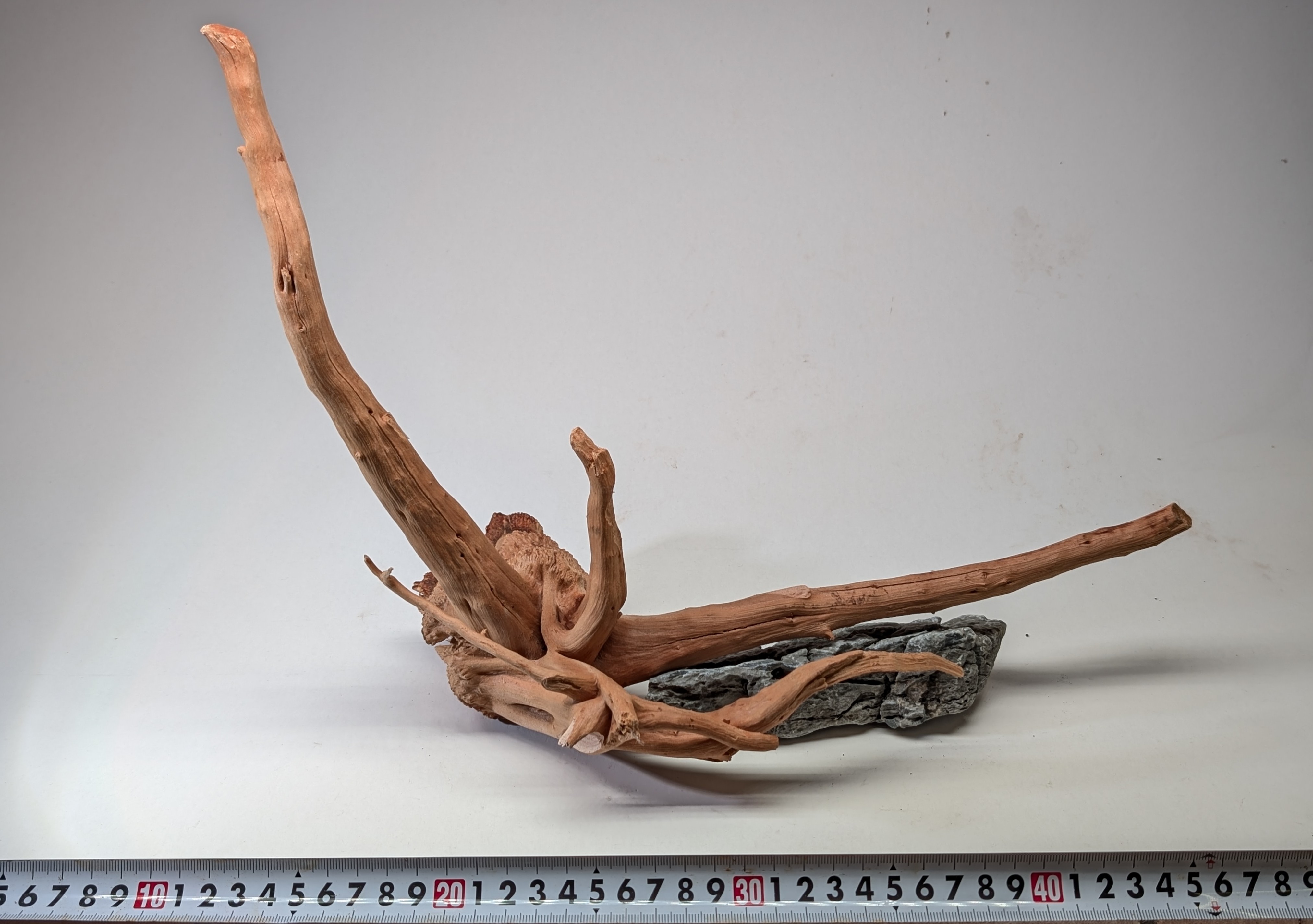 Aquarium gold vine driftwood L size 25-40cm