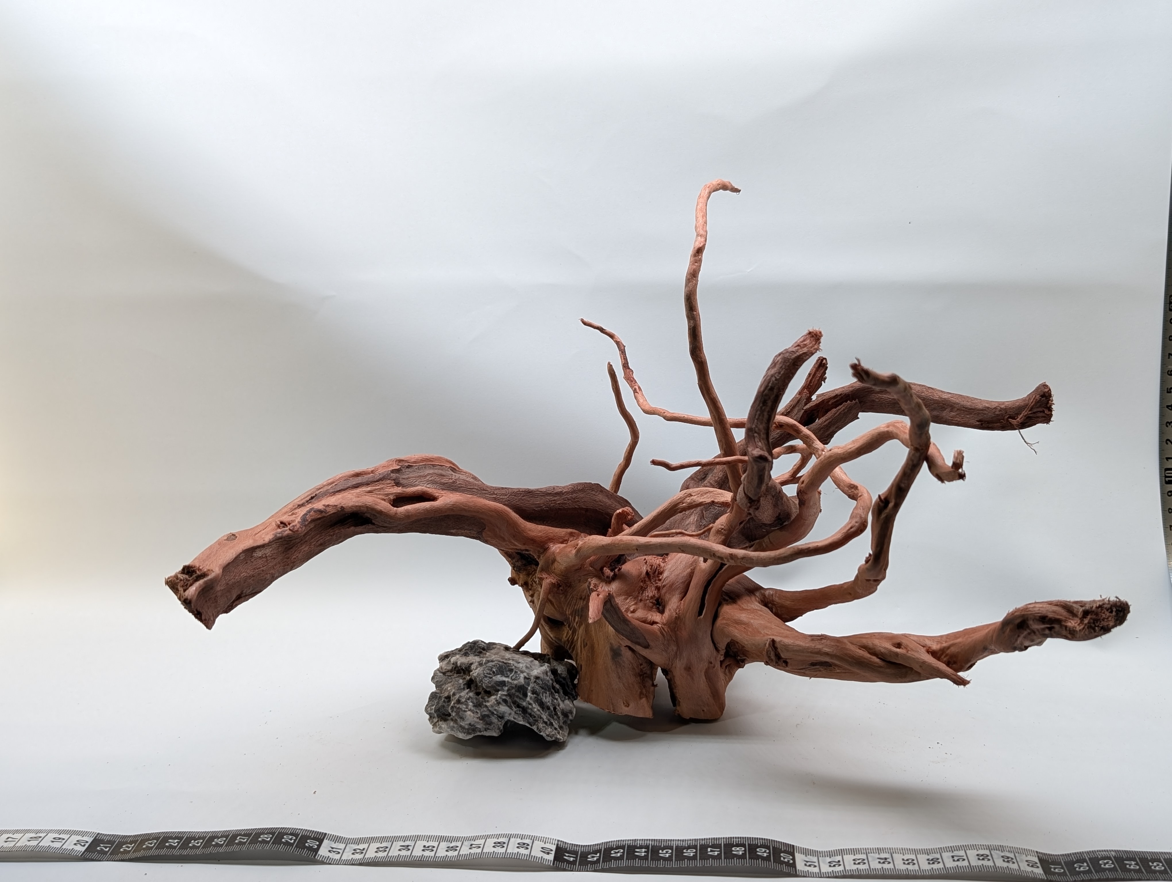 Aquarium Gold Vine driftwood XL 40-60cm