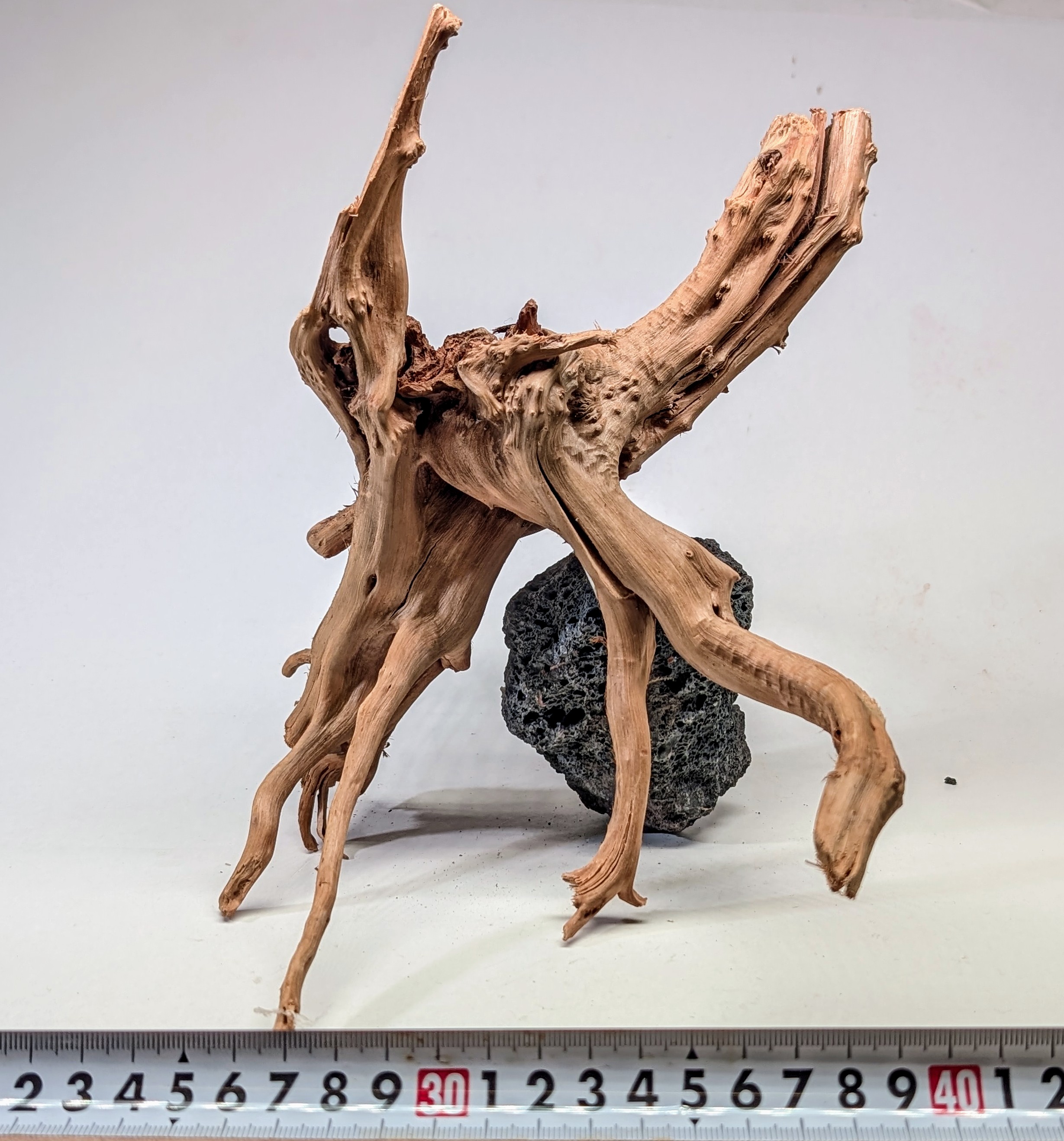 Aquarium gold vine driftwood  L size 25-40cm