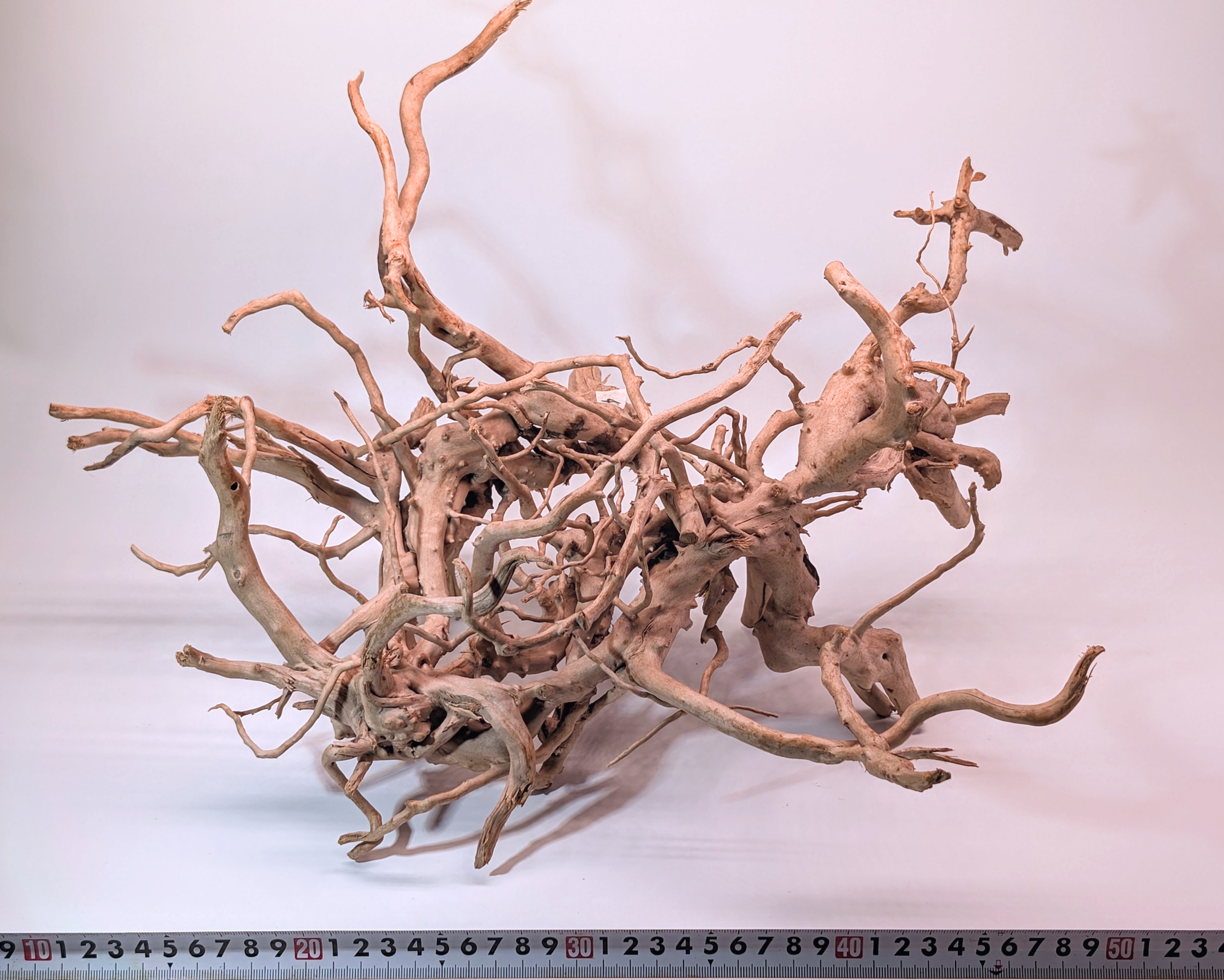 Aquarium Gold Vine driftwood jungle  XL 40-60cm