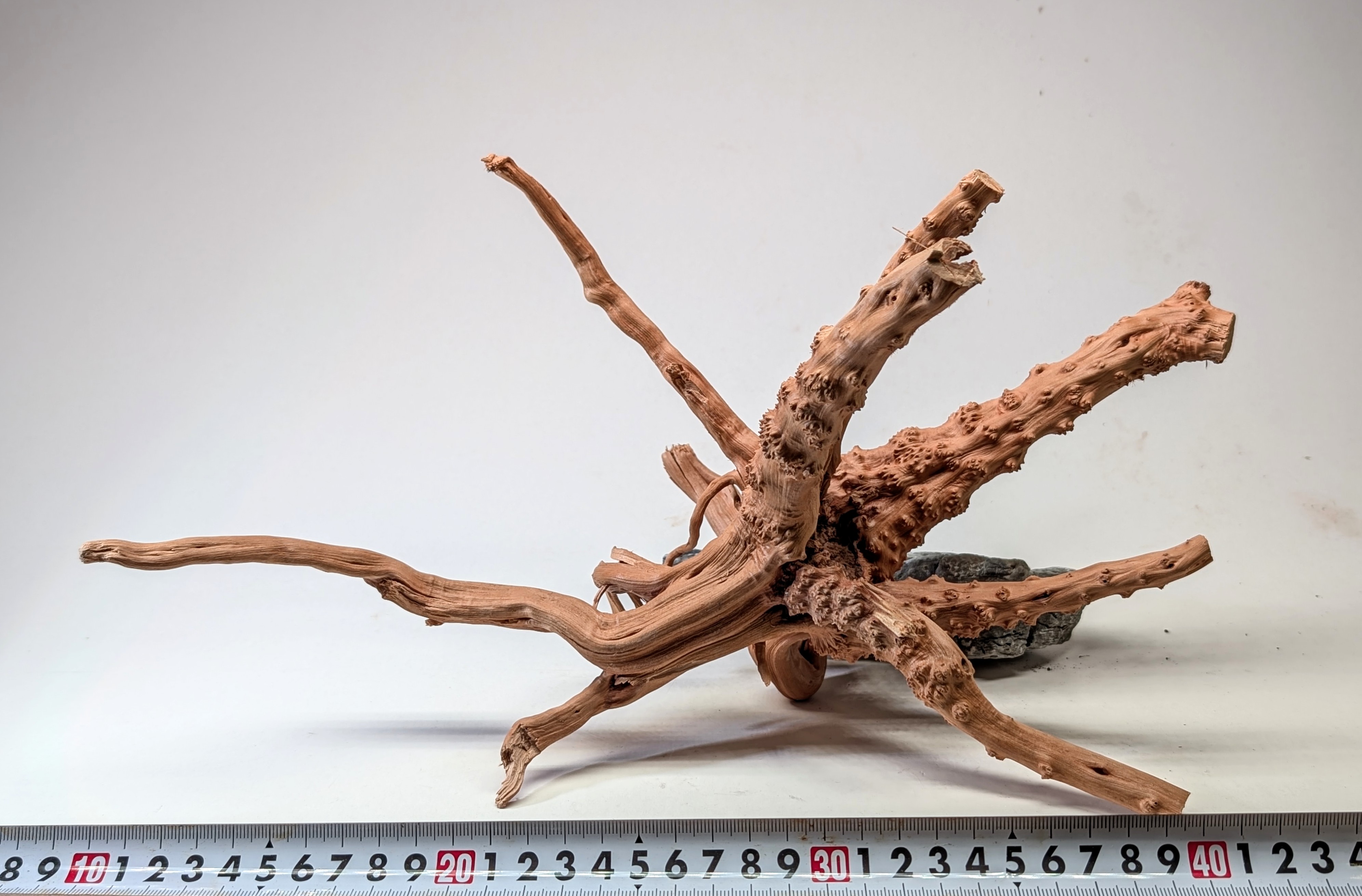 Aquarium gold vine driftwood L size 25-40cm