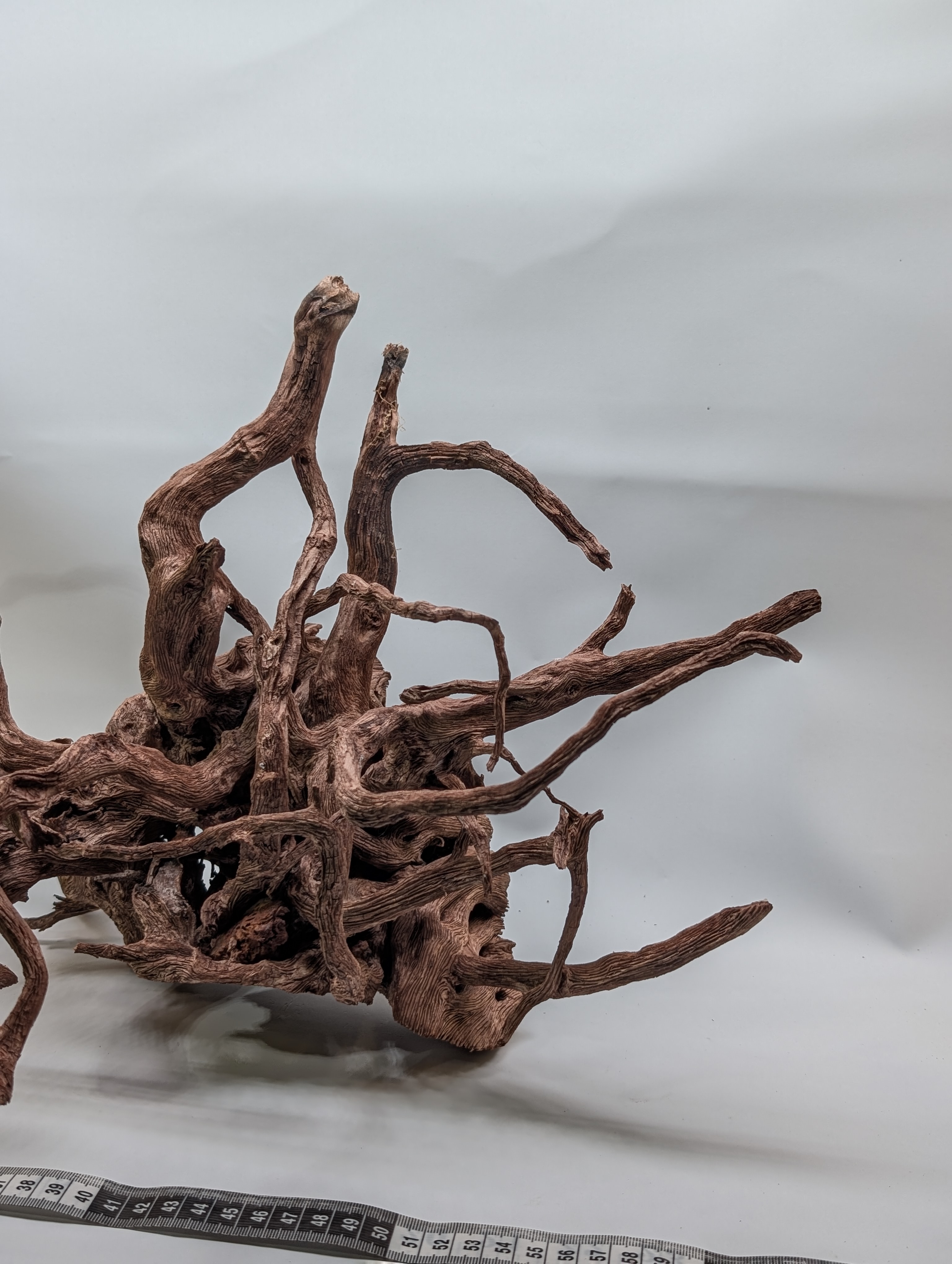 Aquarium Gold Vine driftwood jungle XL 40-60cm