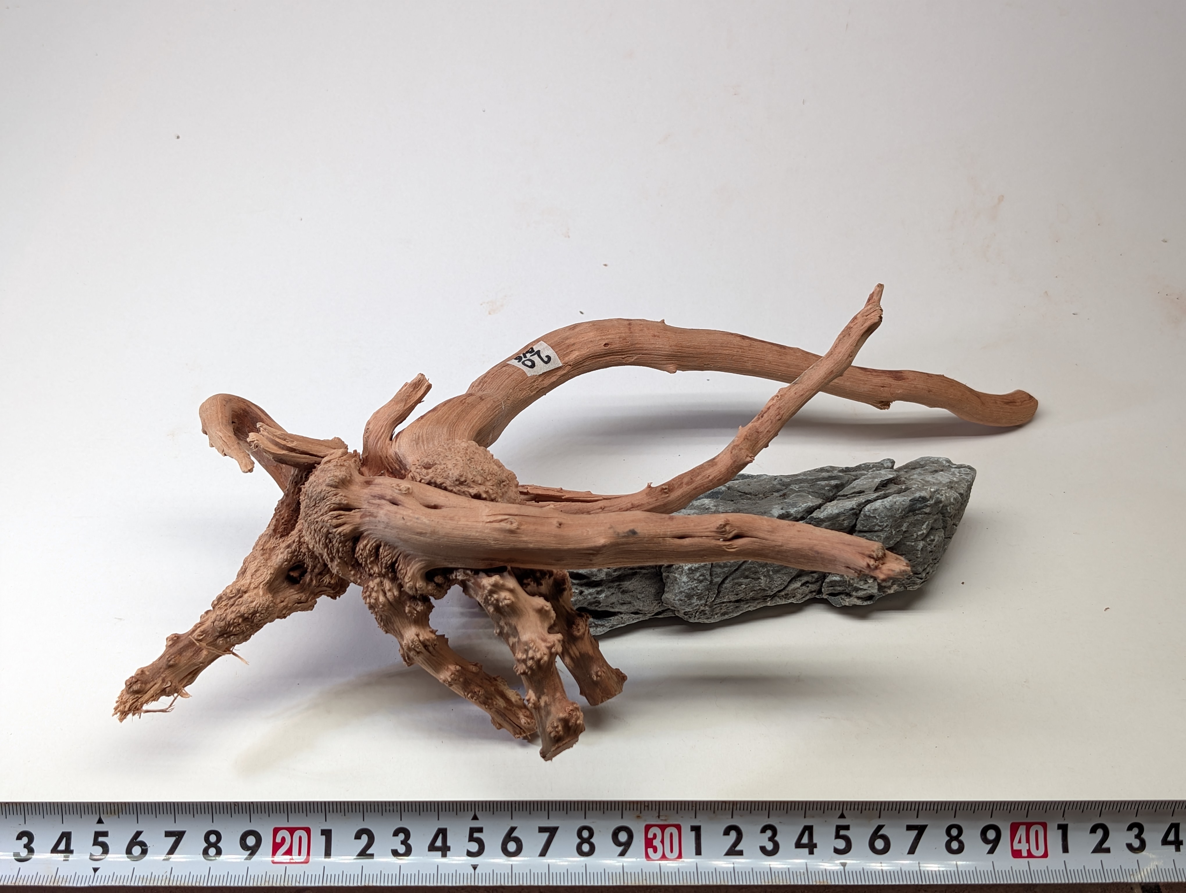 Aquarium gold vine driftwood  L size 25-40cm