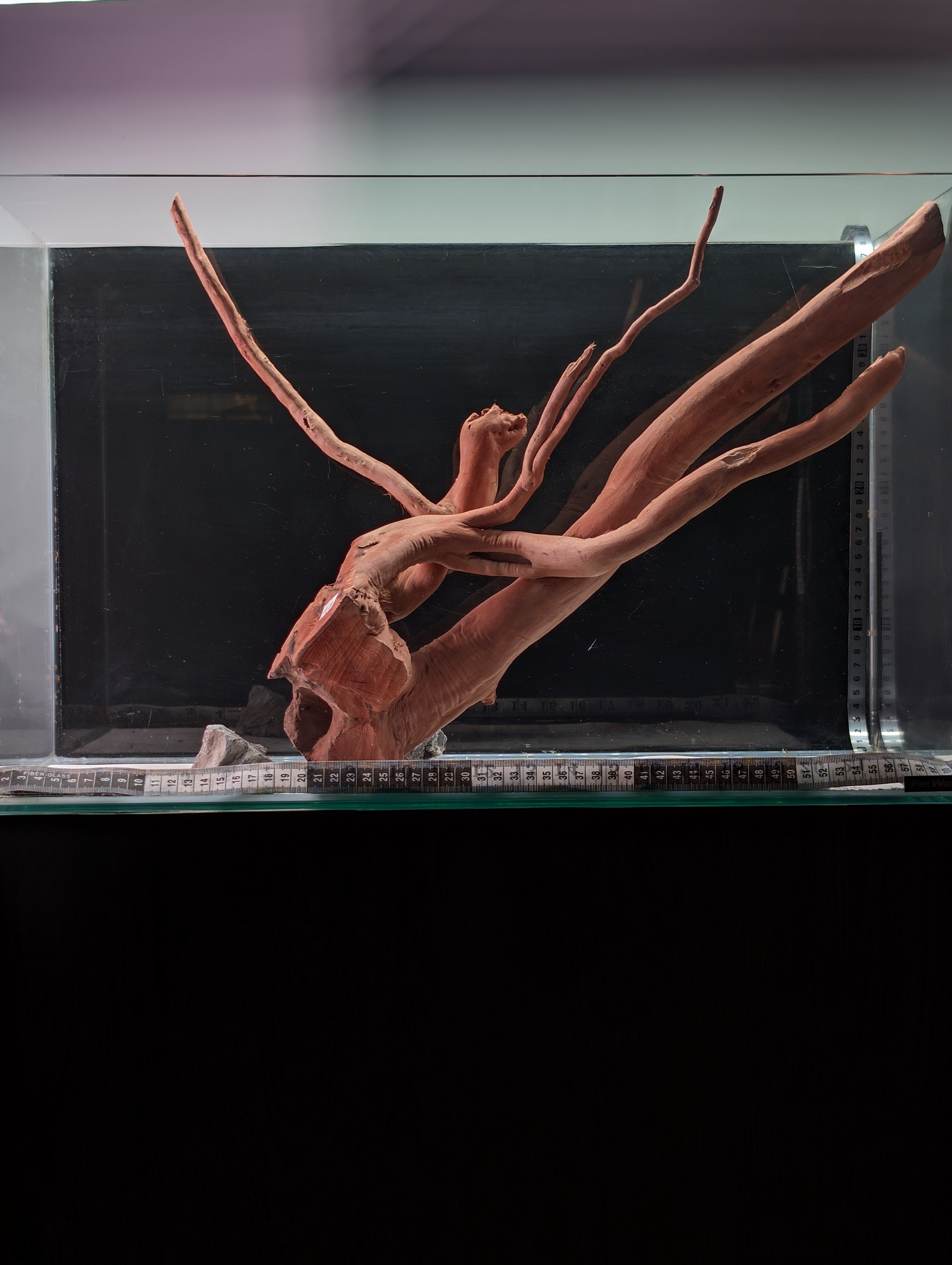 Aquarium Gold Vine driftwood XL 40-60cm