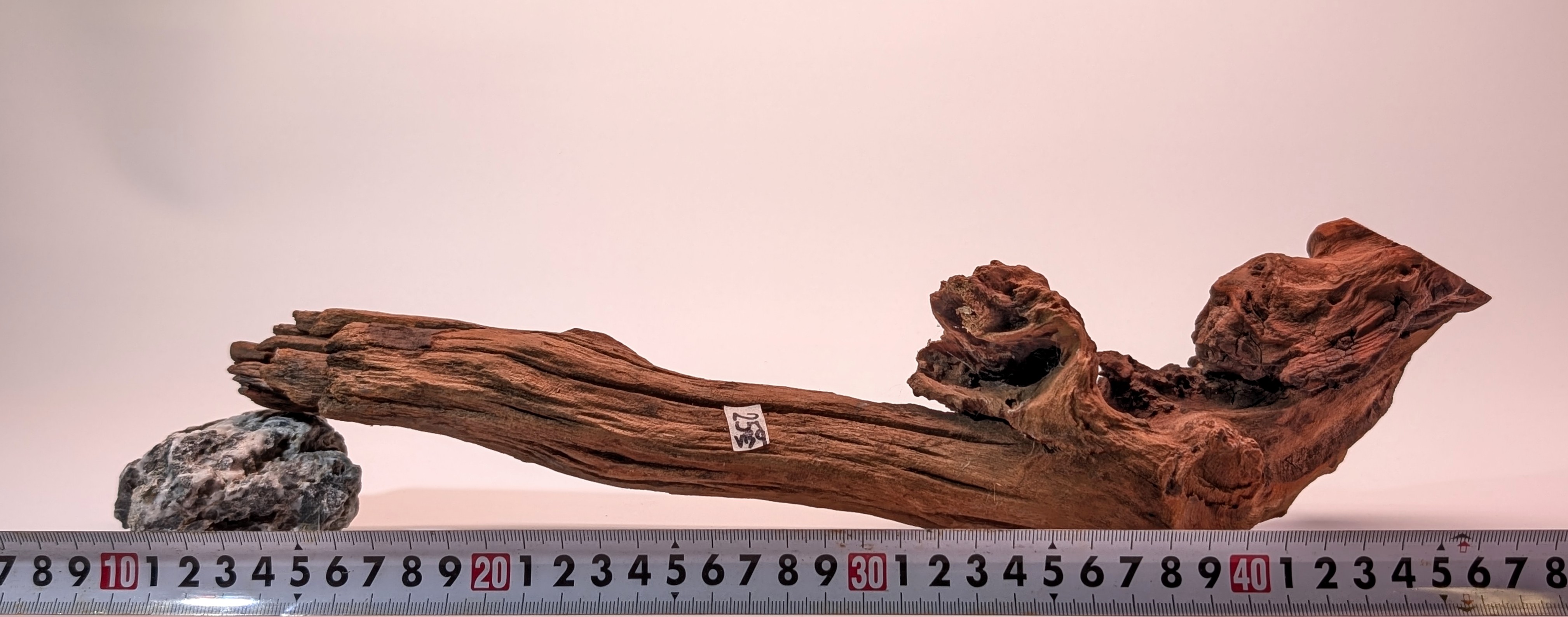 Natural driftwood L size 25-40cm