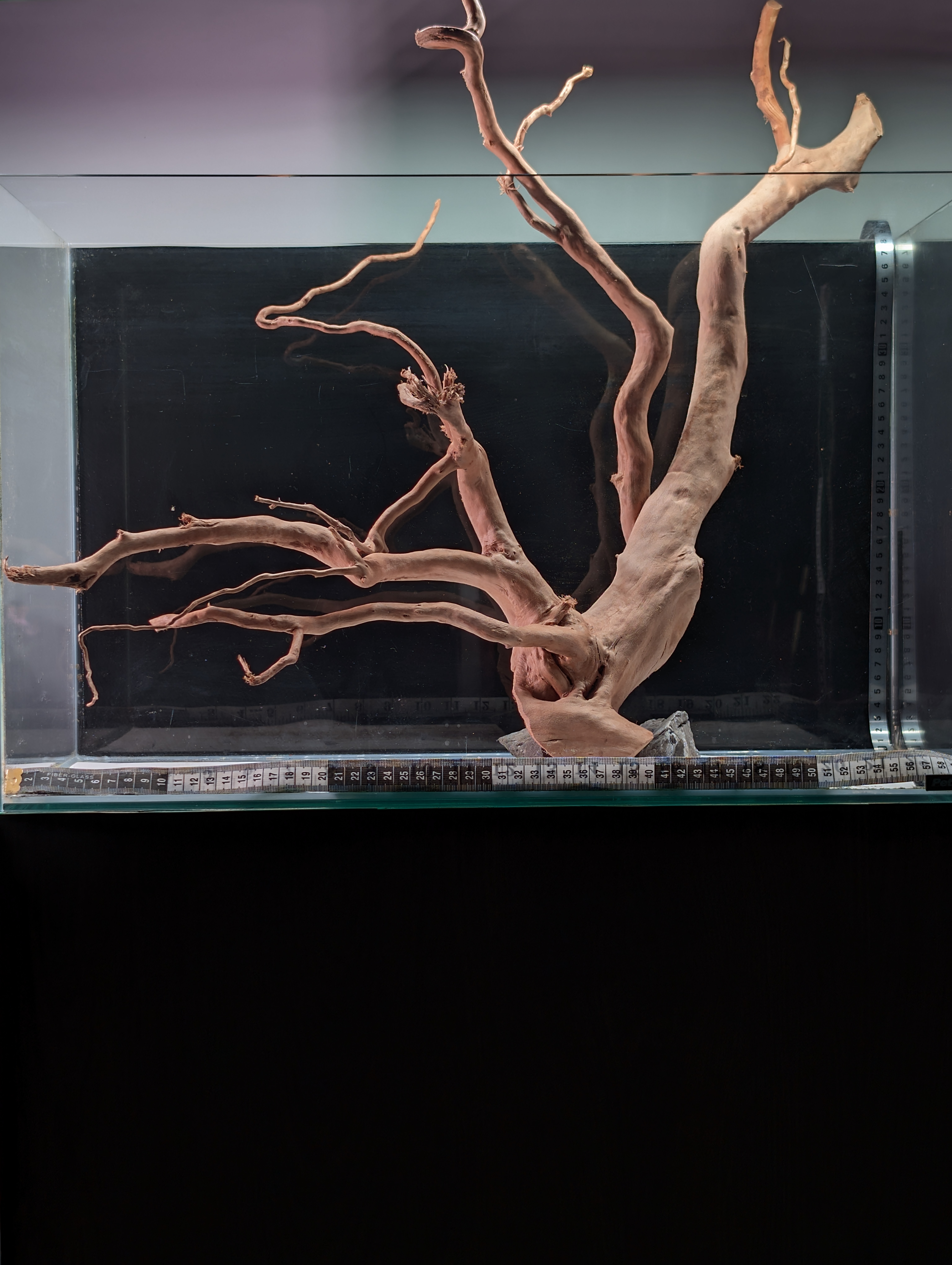 Aquarium Gold Vine driftwood  XL 40-60cm