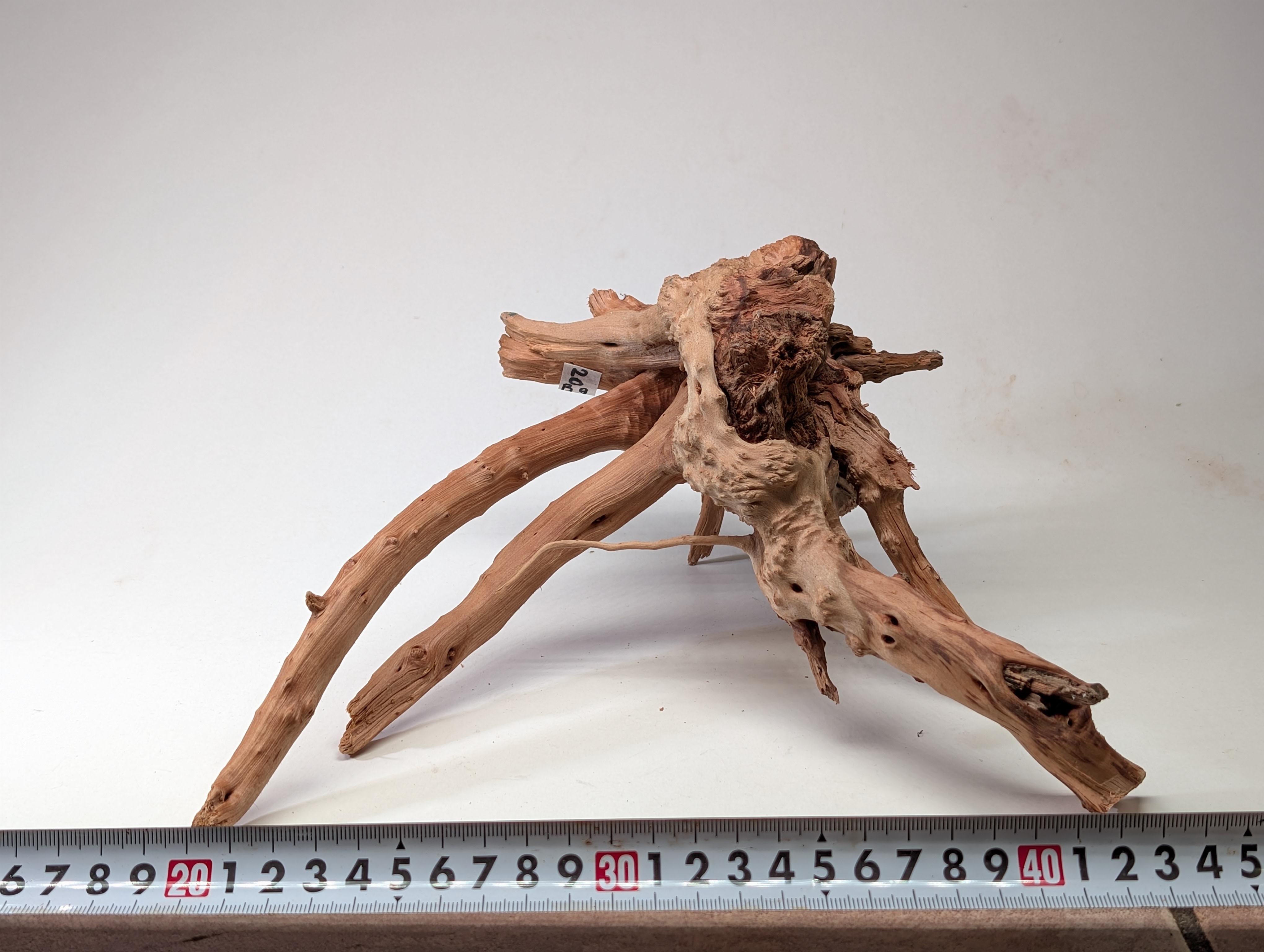 Aquarium gold vine driftwood  L size 20-30cm