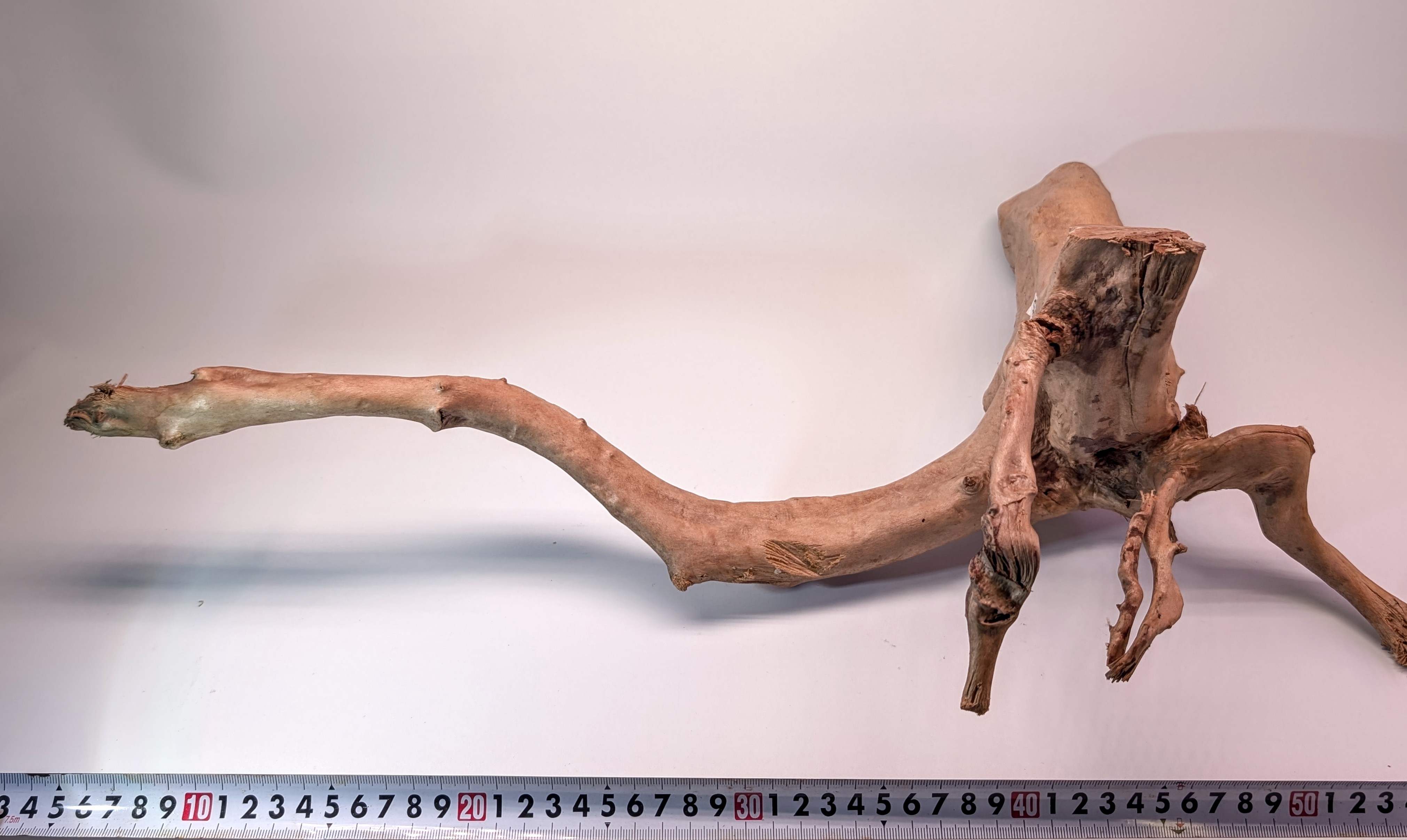 Aquarium Gold Vine driftwood  XL 40-60cm