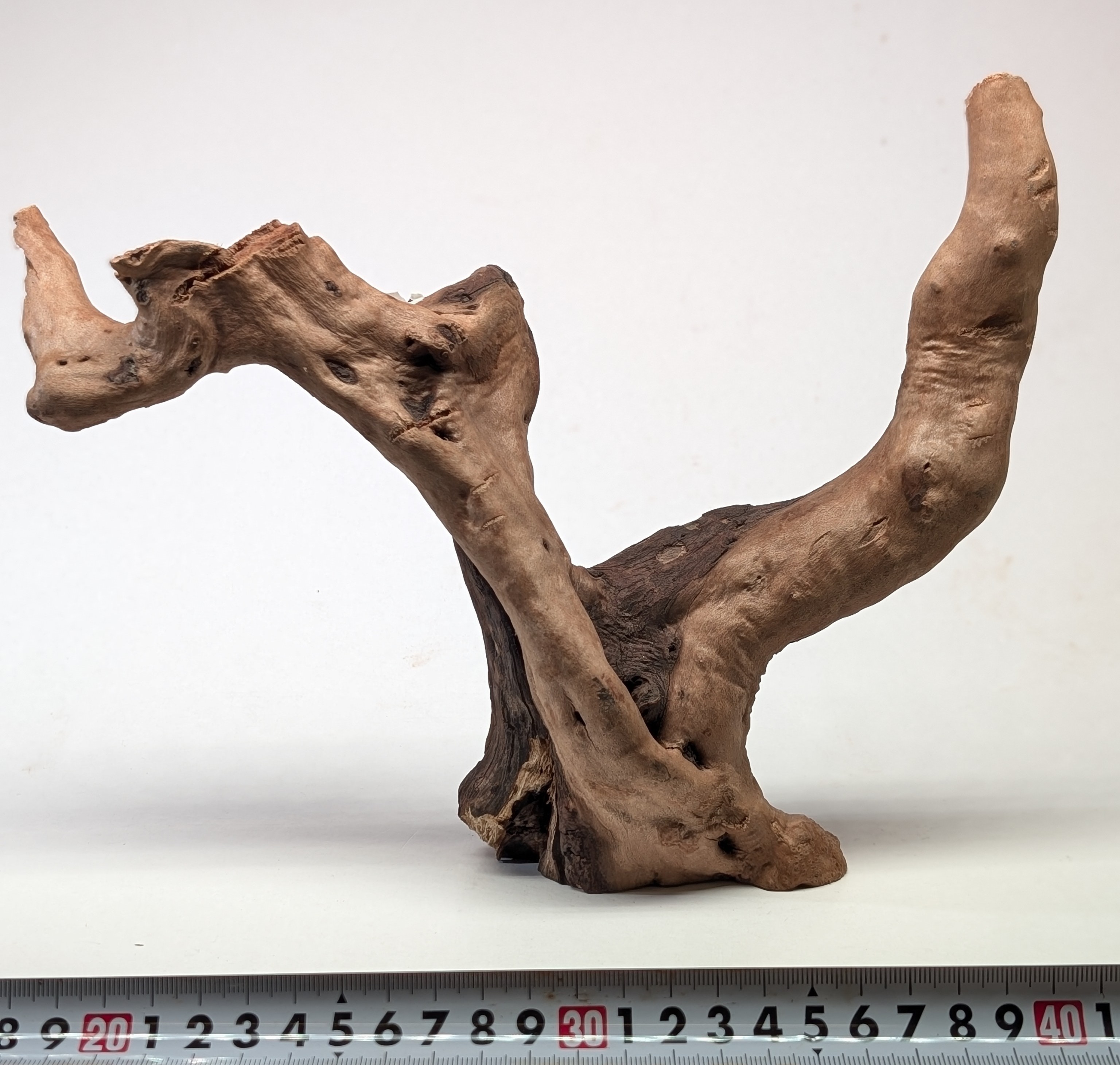 Aquarium drifrwood 20-25cm