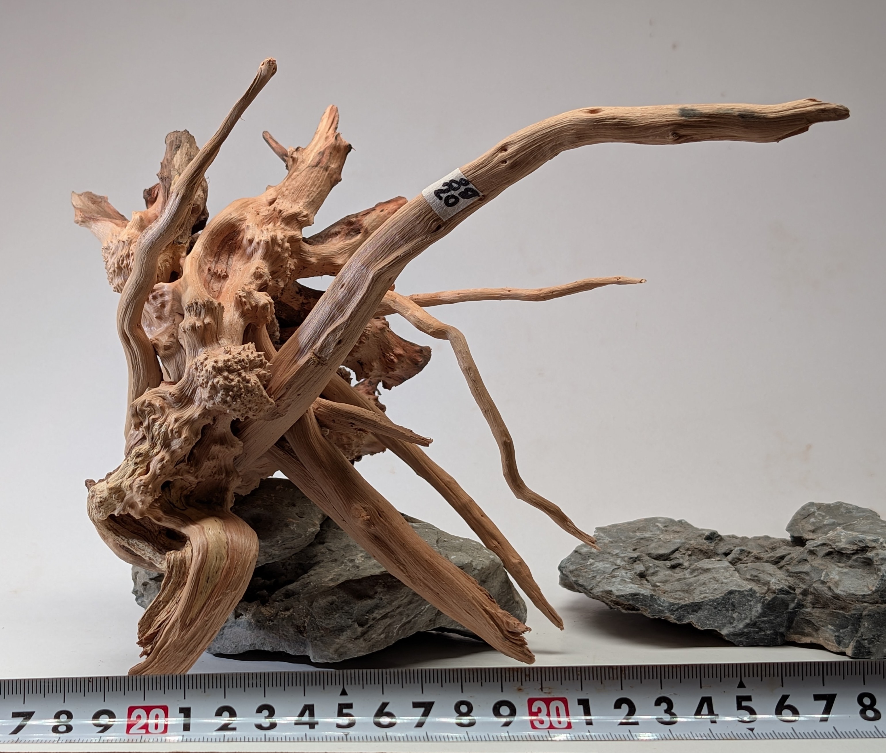 Aquarium gold vine driftwood  L size 25-40cm