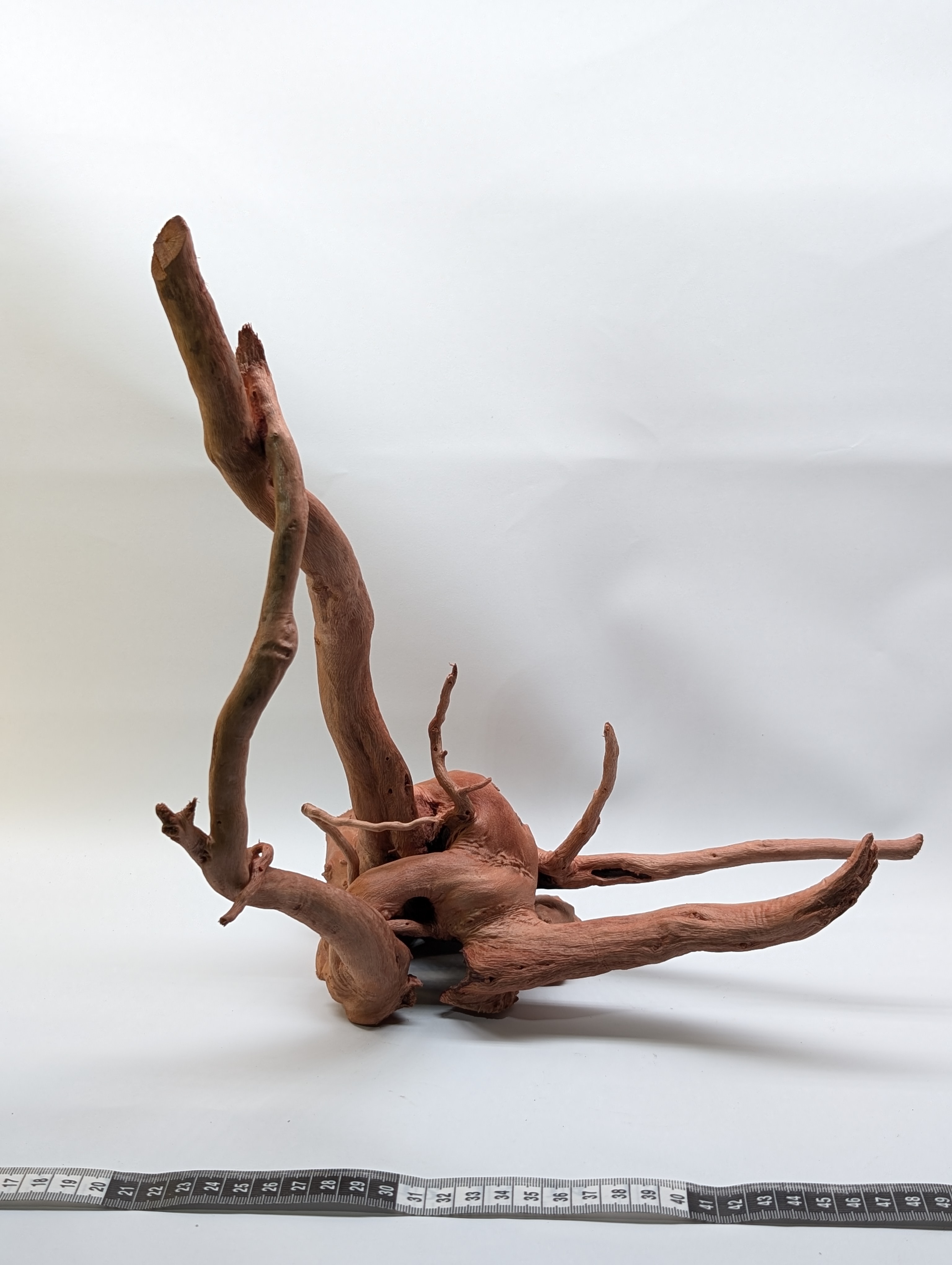 Aquarium gold vine driftwood  L size 25-40cm