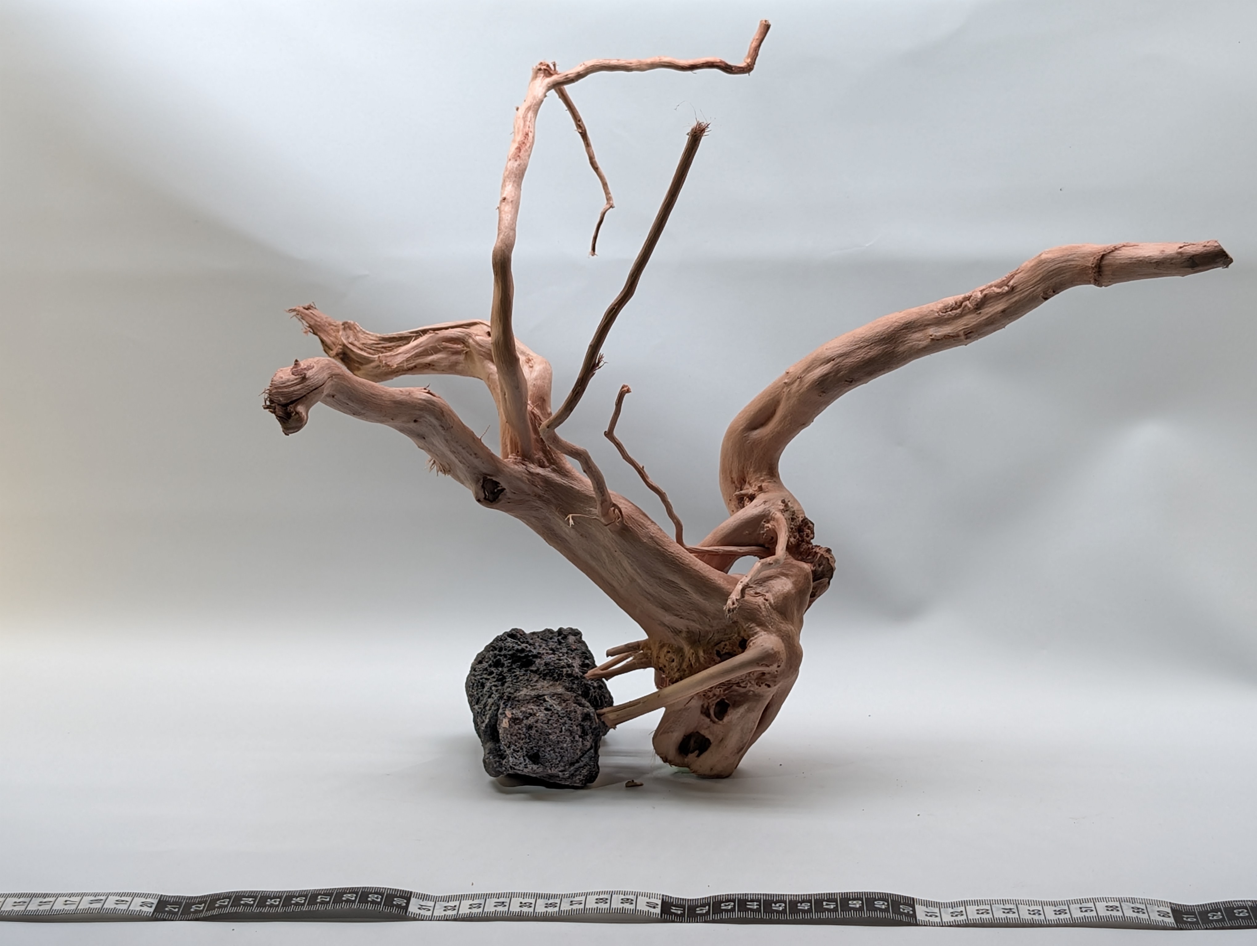 Aquarium gold vine driftwood L size 25-40cm