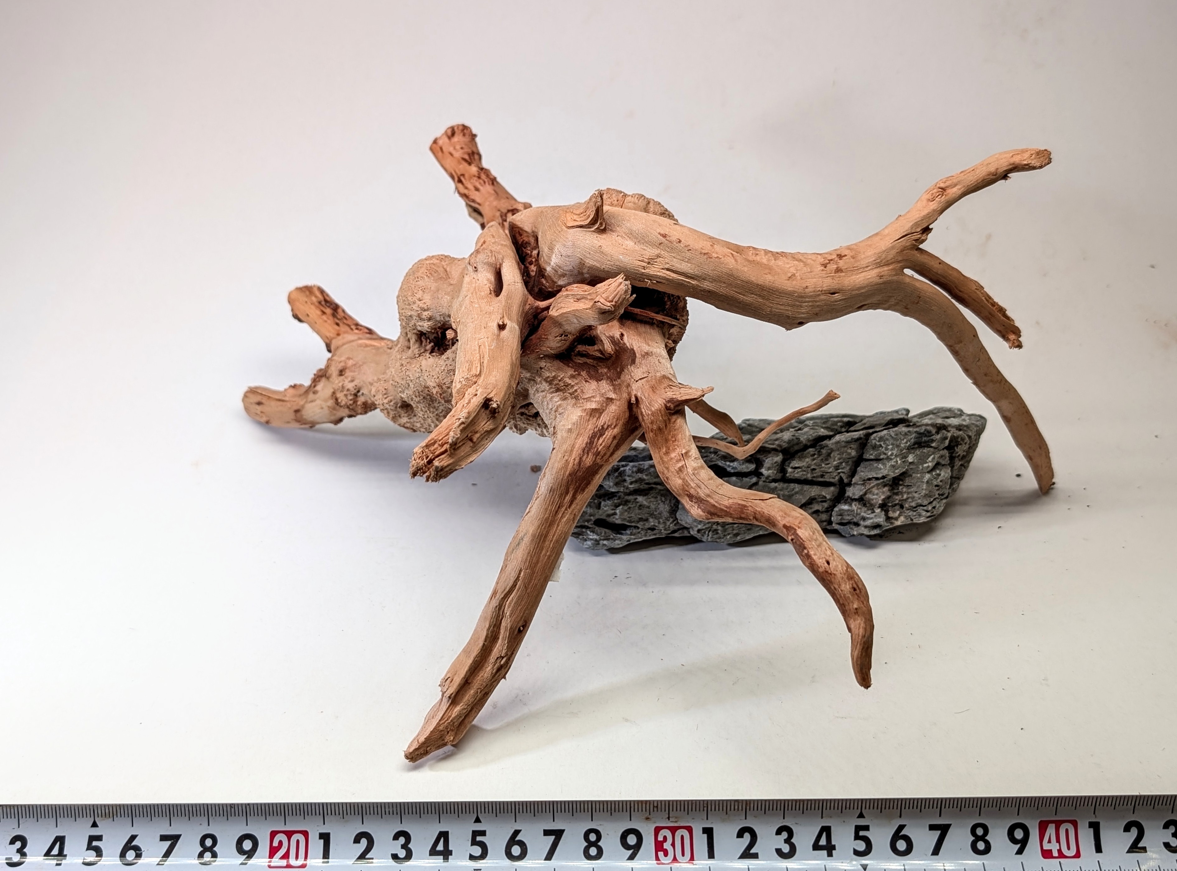 Aquarium gold vine driftwood  L size 25-40cm
